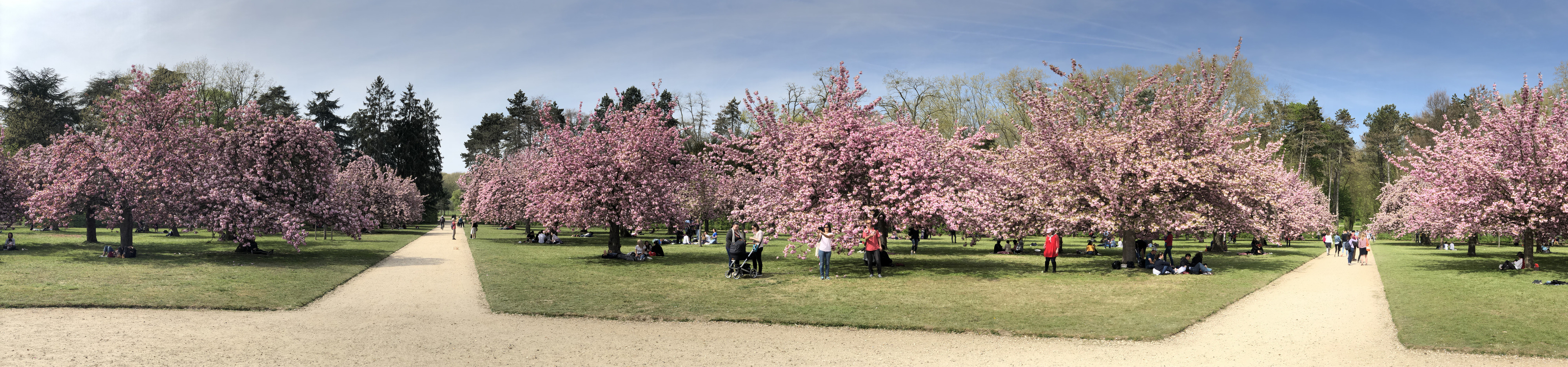 Picture France Parc de Sceaux 2019-04 69 - Discovery Parc de Sceaux