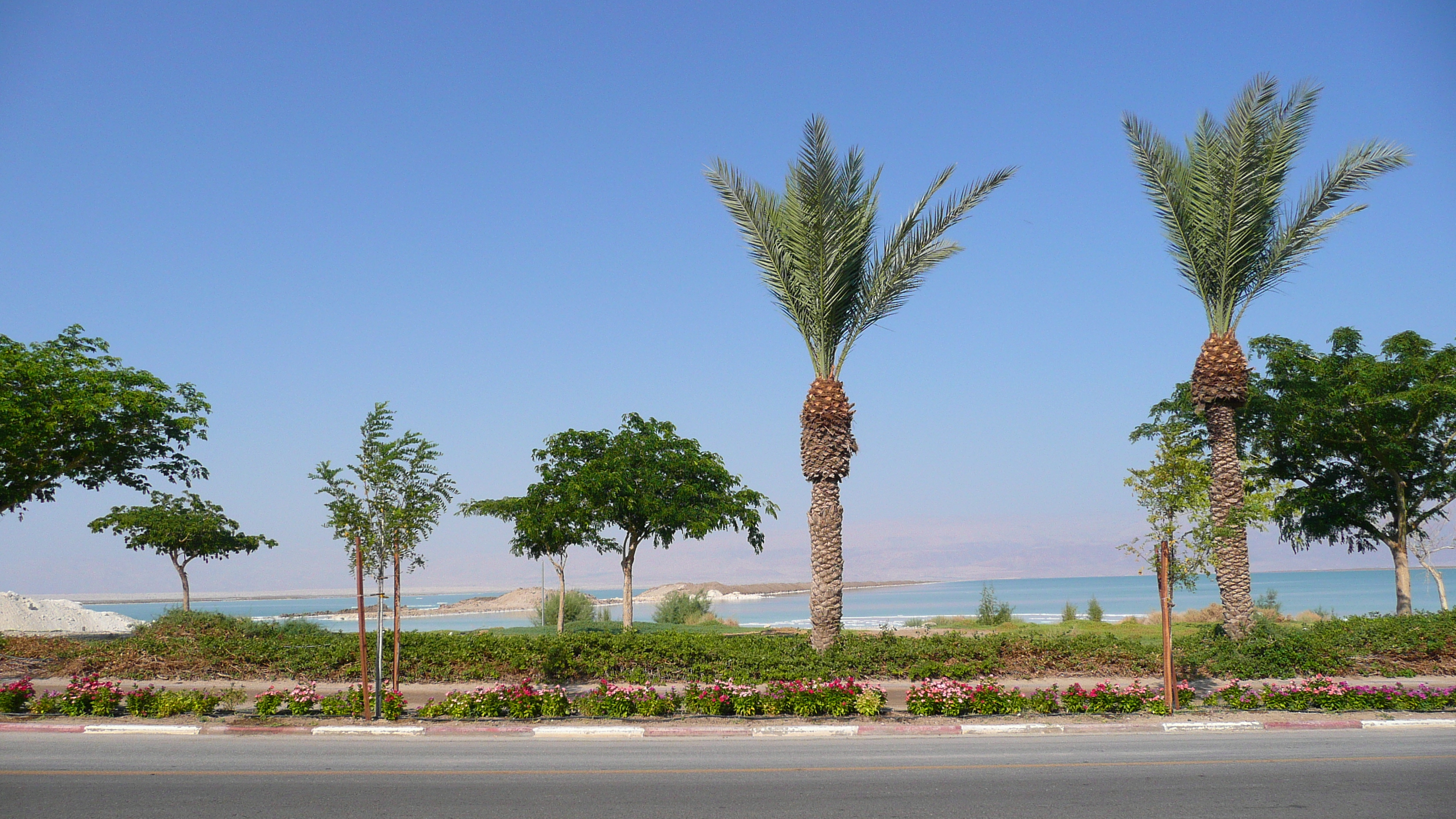 Picture Israel Boqeq 2007-06 0 - Tour Boqeq