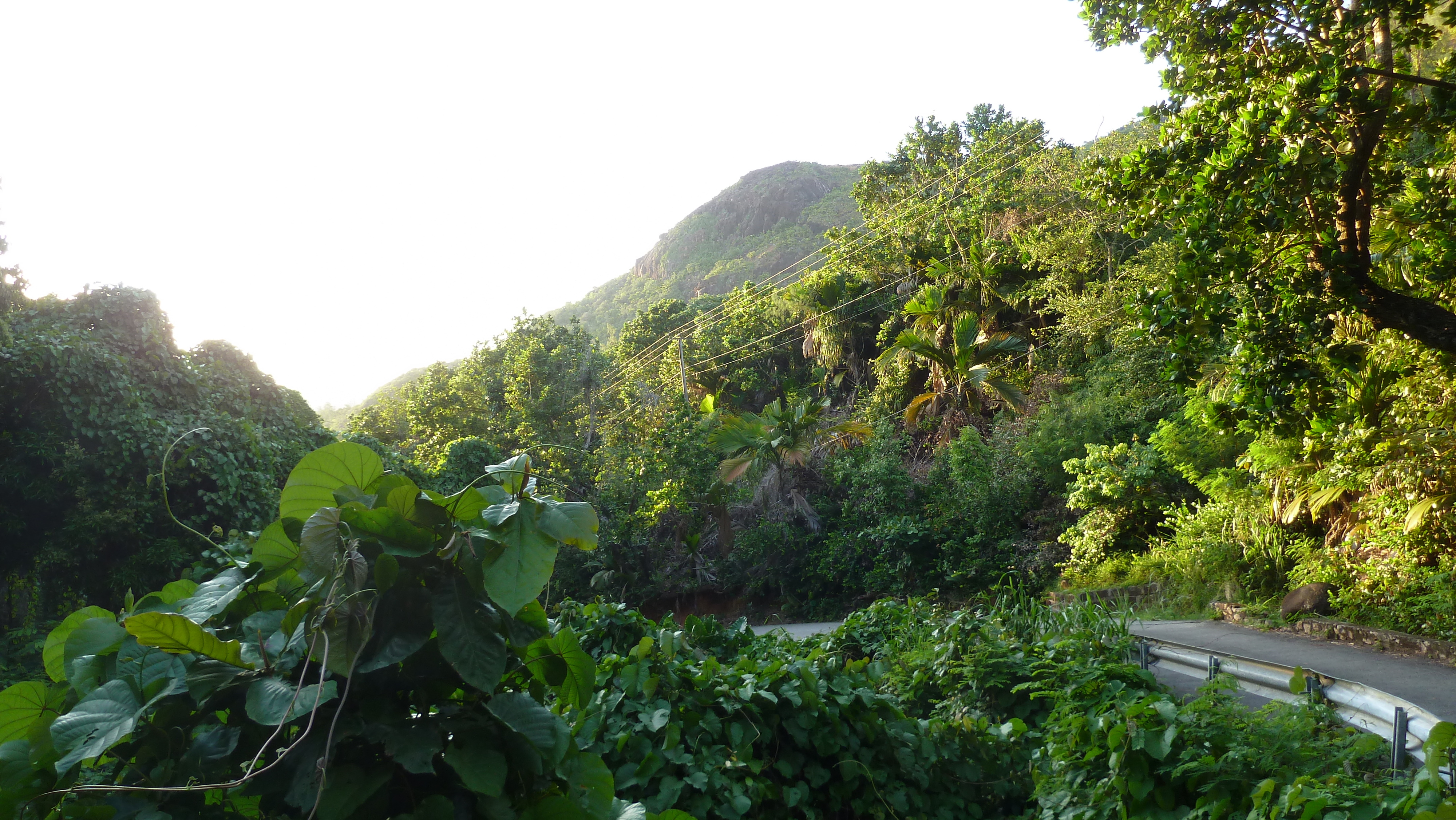 Picture Seychelles Praslin 2011-10 222 - Discovery Praslin