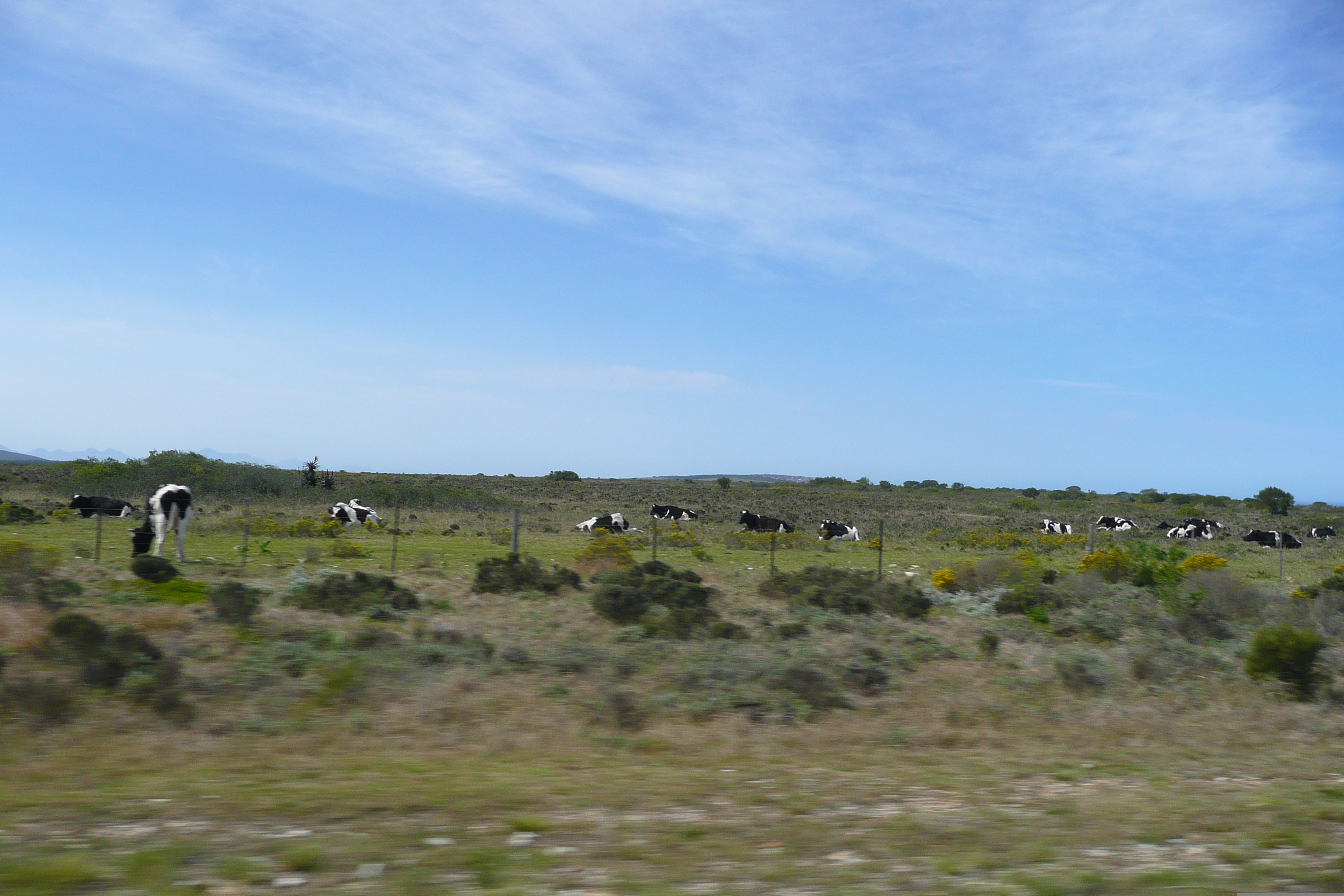 Picture South Africa Harmanus to Knysna road 2008-09 40 - History Harmanus to Knysna road