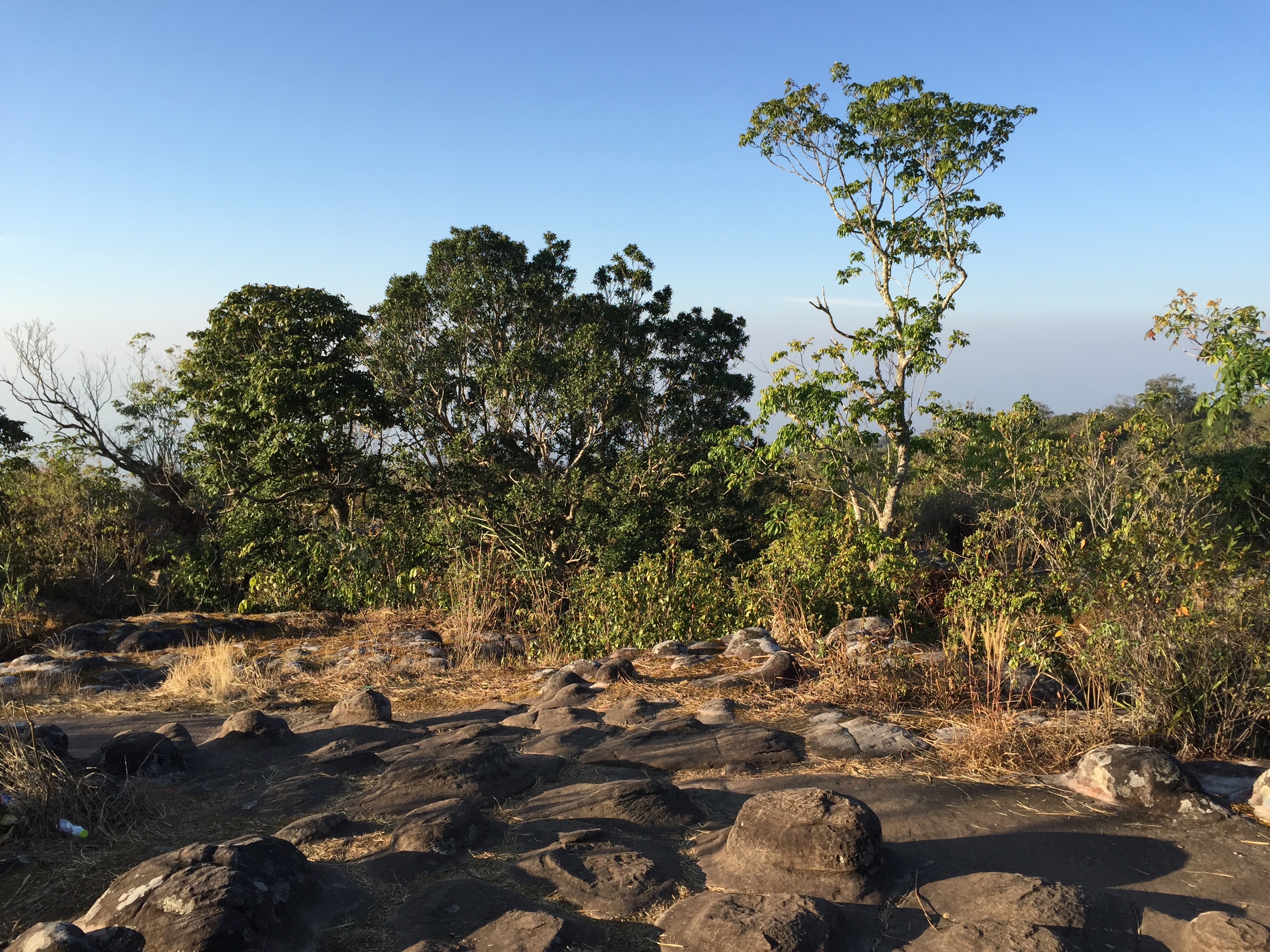 Picture Thailand Phu Hin Rong Kla National Park 2014-12 415 - Tour Phu Hin Rong Kla National Park