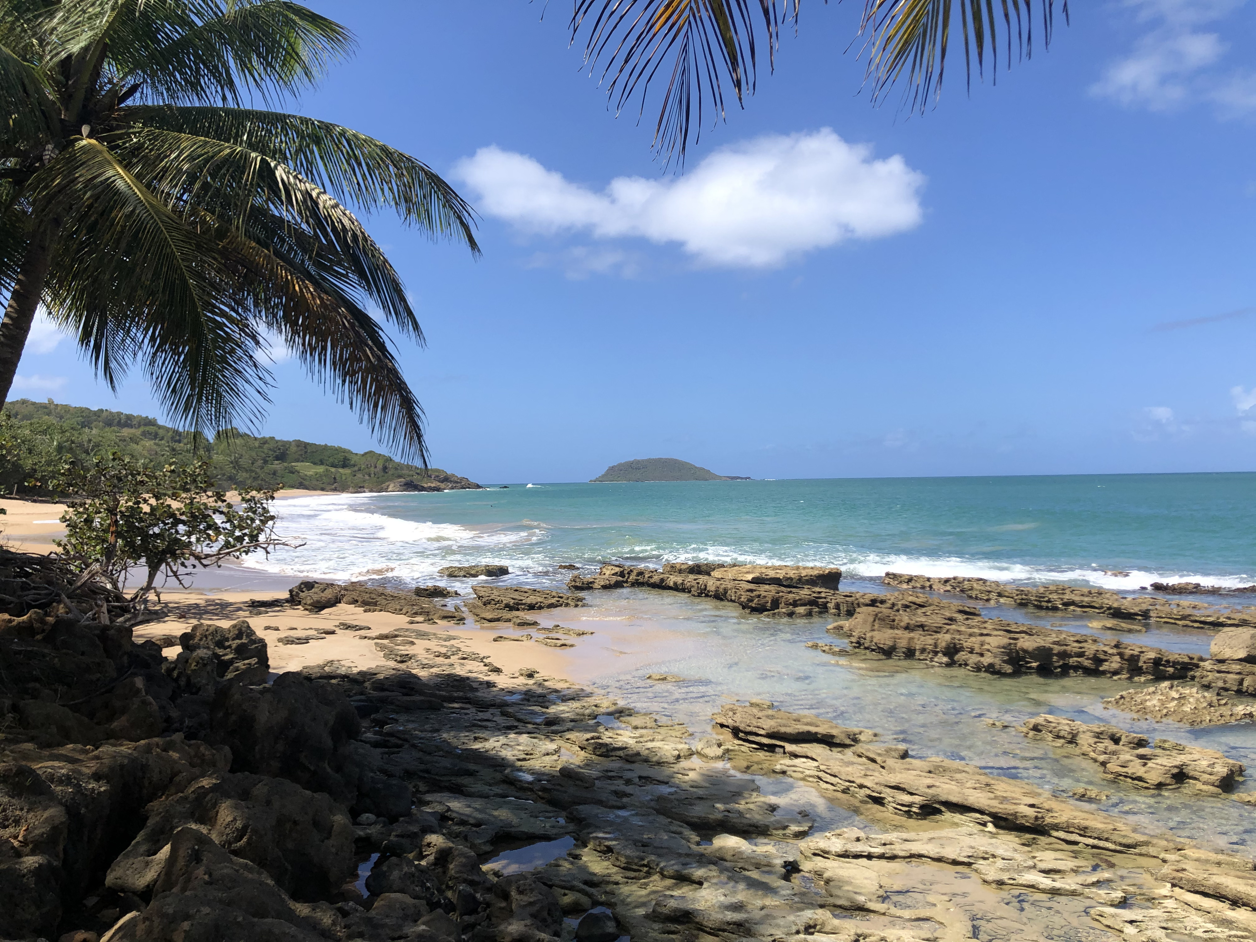 Picture Guadeloupe Clugny Beach 2021-02 2 - Recreation Clugny Beach