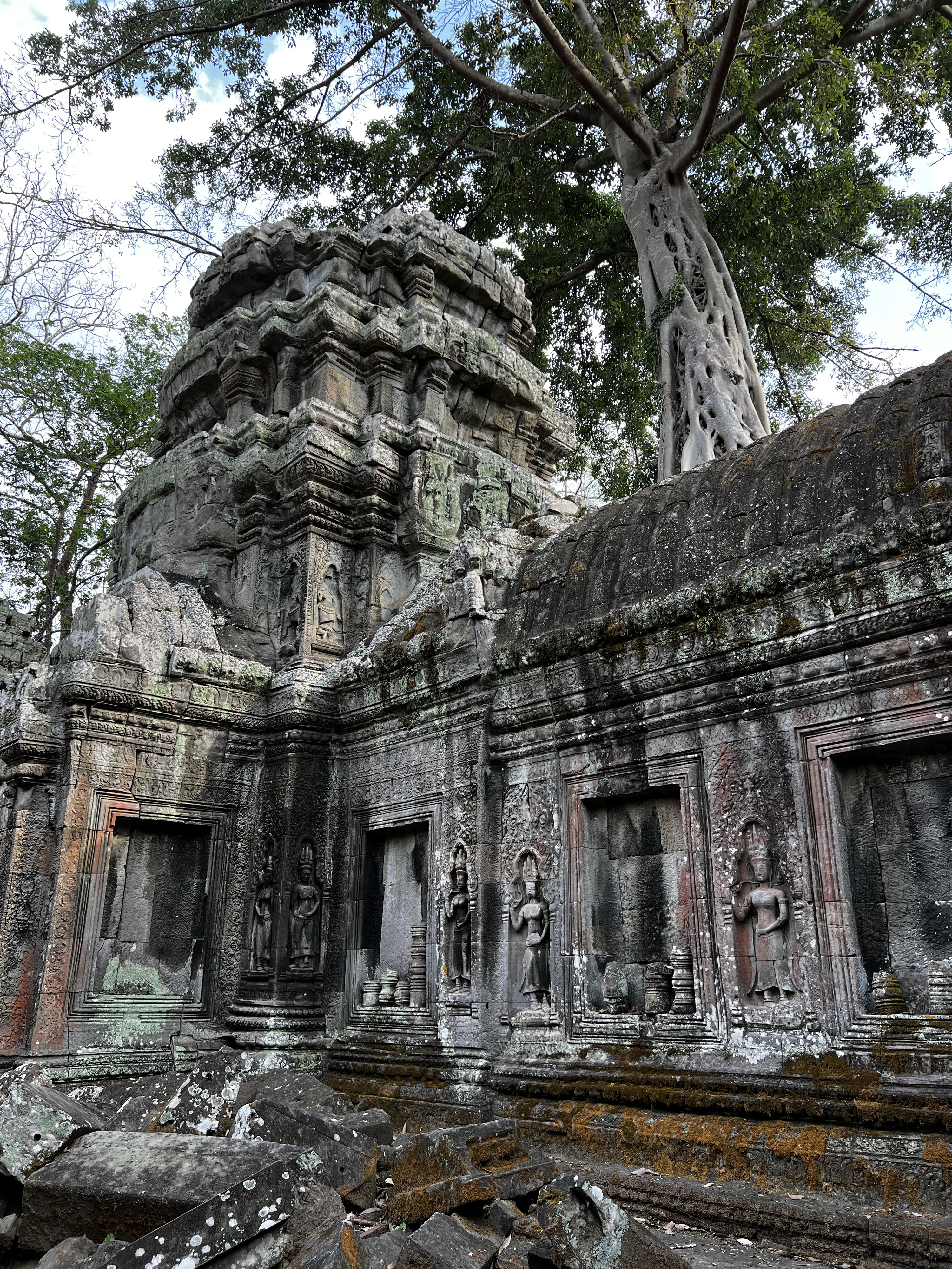 Picture Cambodia Siem Reap Ta Prohm 2023-01 153 - Journey Ta Prohm