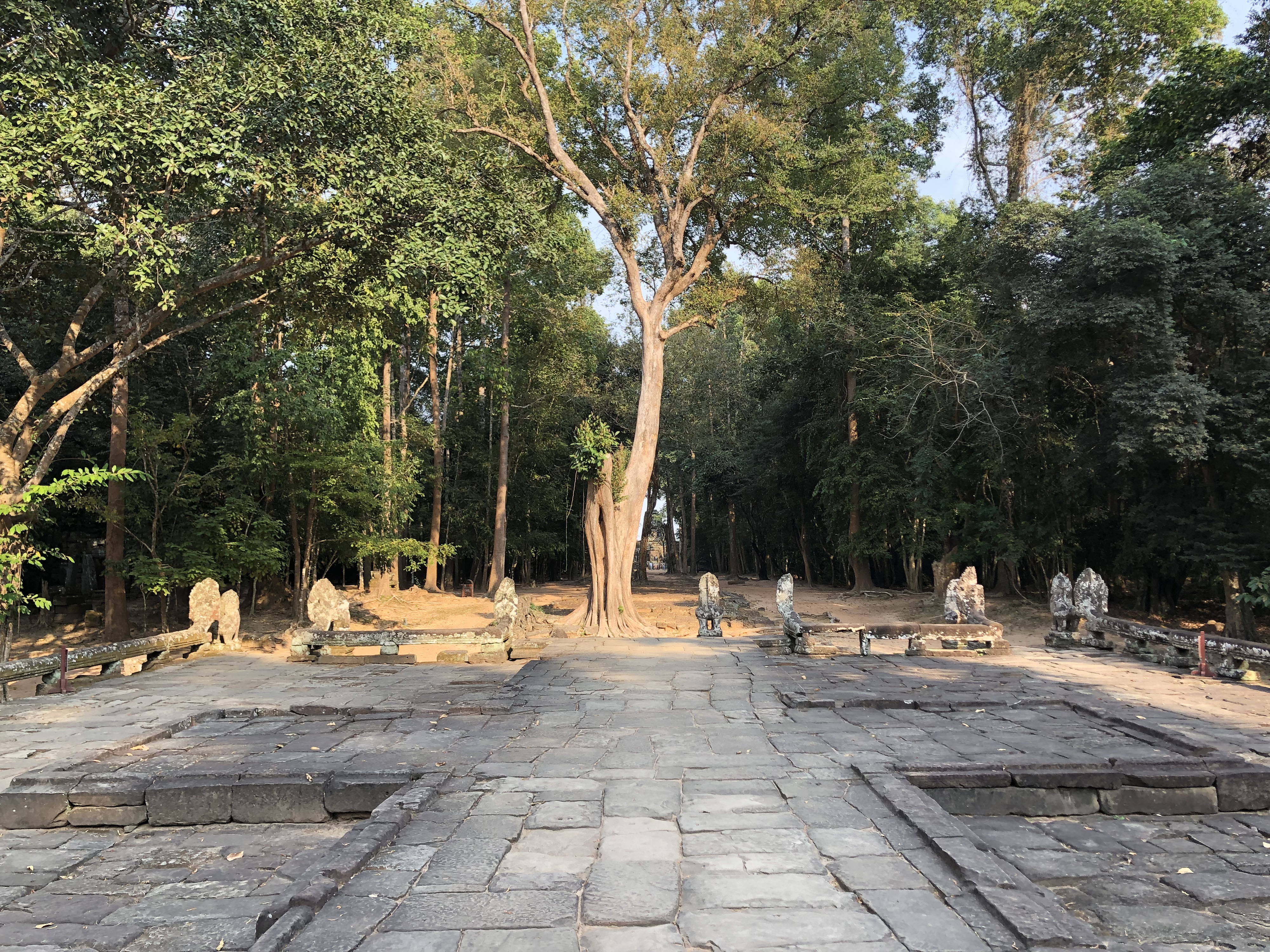 Picture Cambodia Siem Reap Banteay Kdei 2023-01 11 - Journey Banteay Kdei