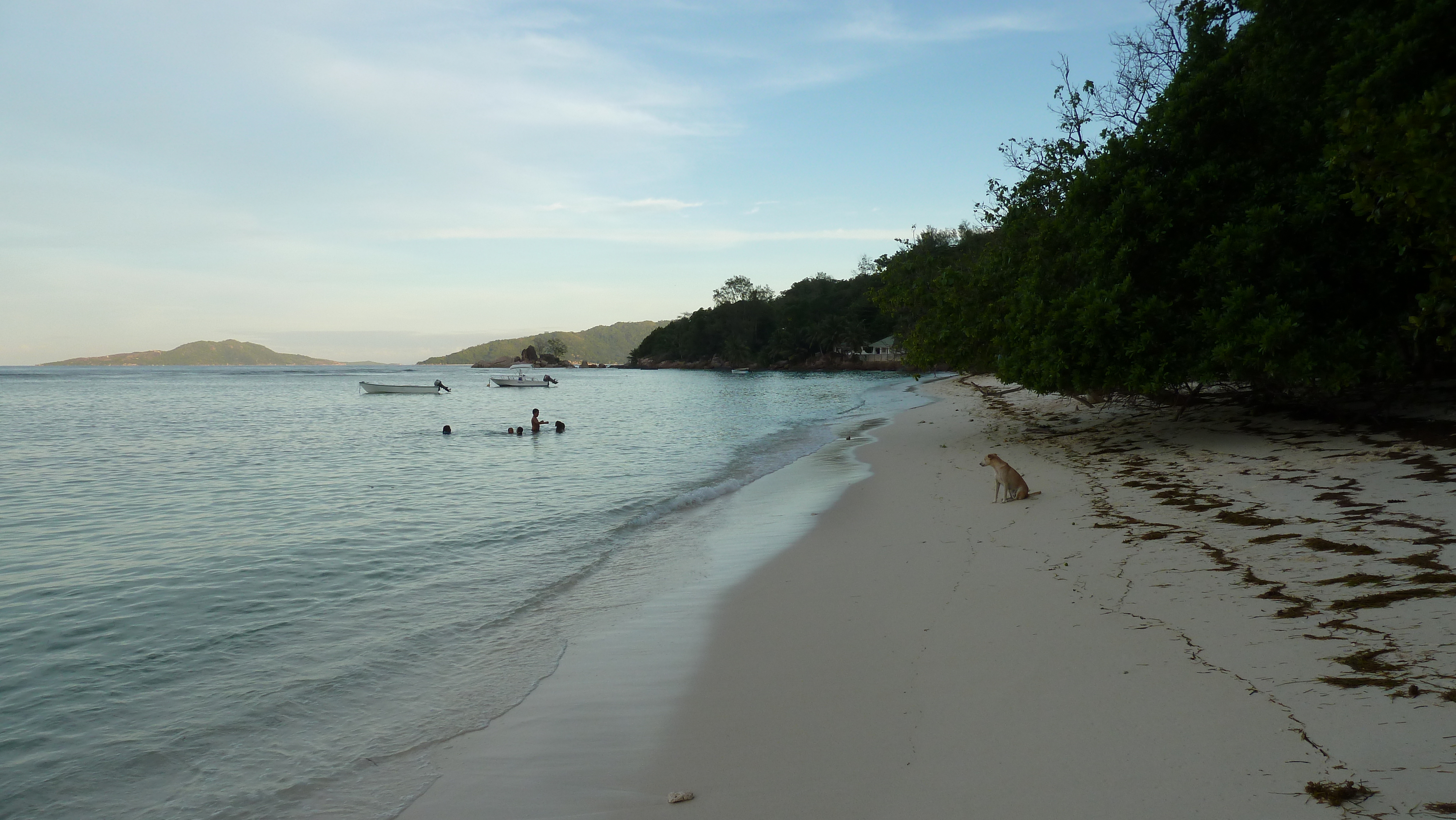 Picture Seychelles Praslin 2011-10 207 - Discovery Praslin