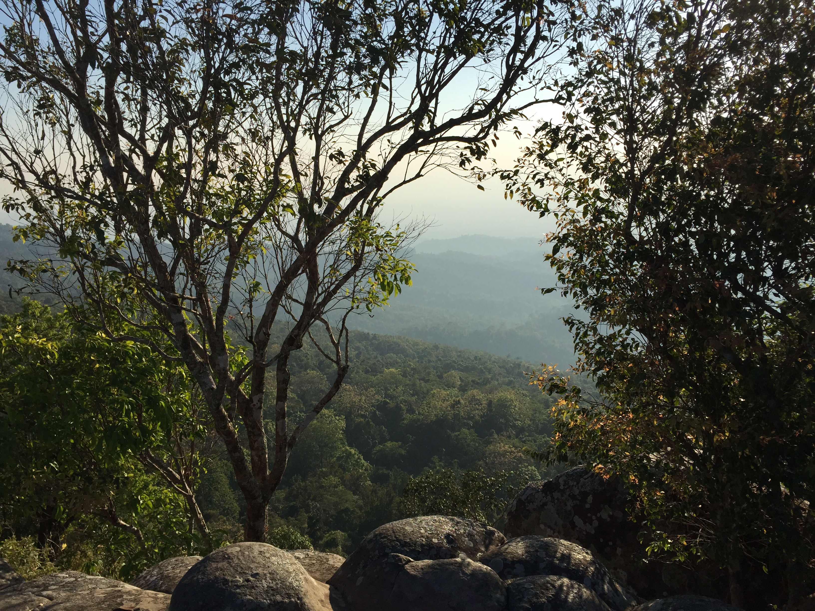 Picture Thailand Phu Hin Rong Kla National Park 2014-12 356 - Tour Phu Hin Rong Kla National Park