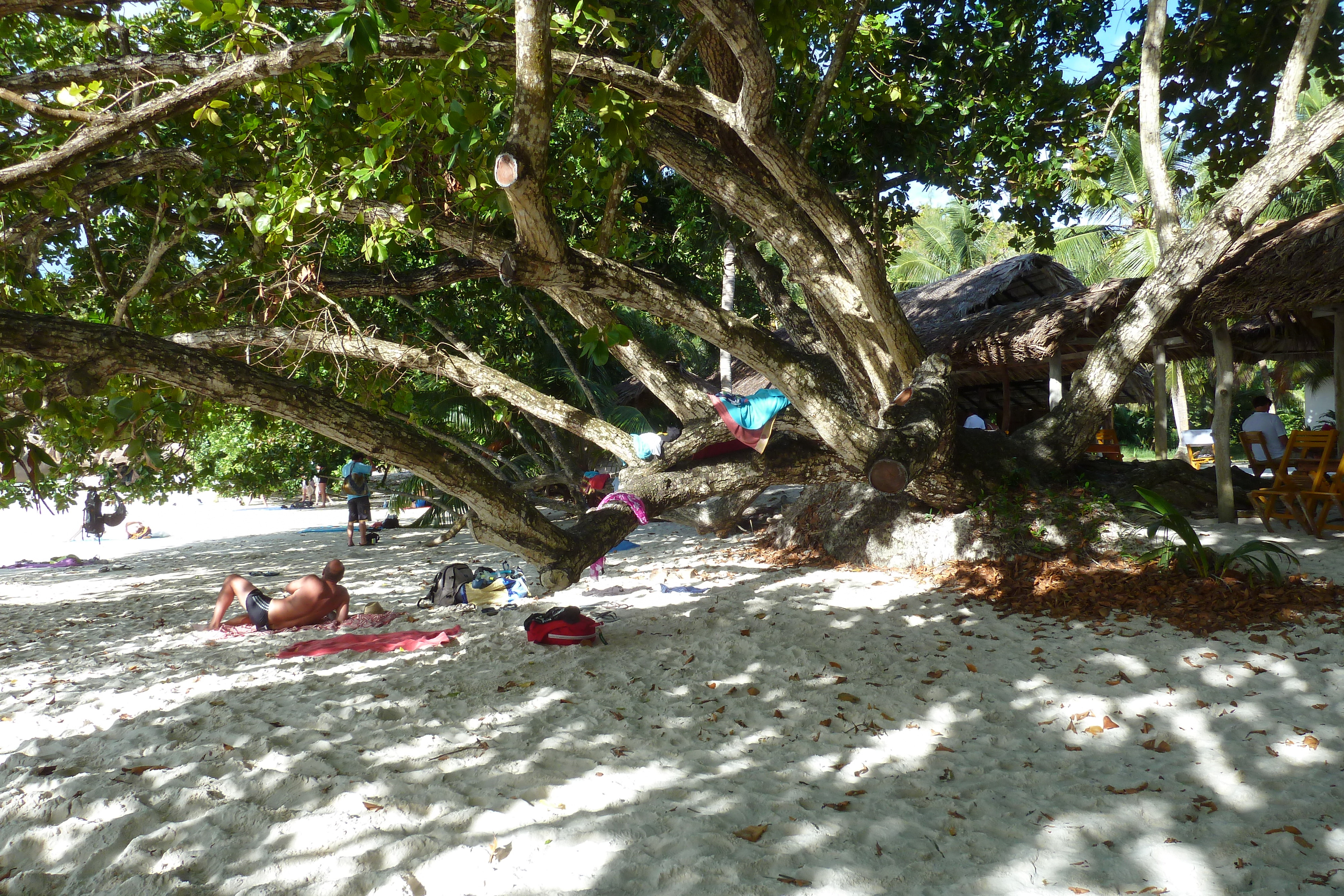 Picture Seychelles Anse Lazio 2011-10 96 - Tours Anse Lazio