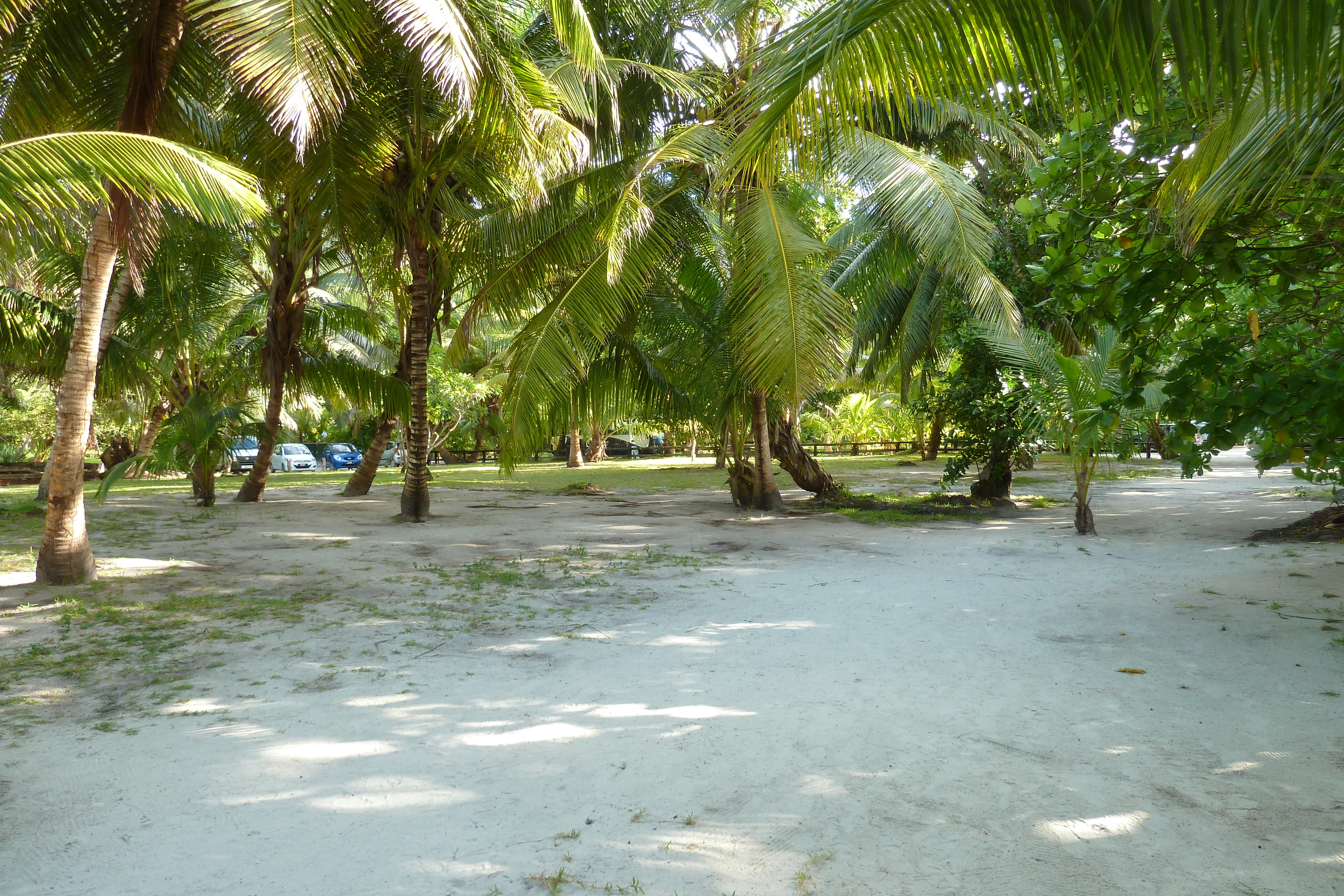 Picture Seychelles Anse Lazio 2011-10 79 - Tour Anse Lazio