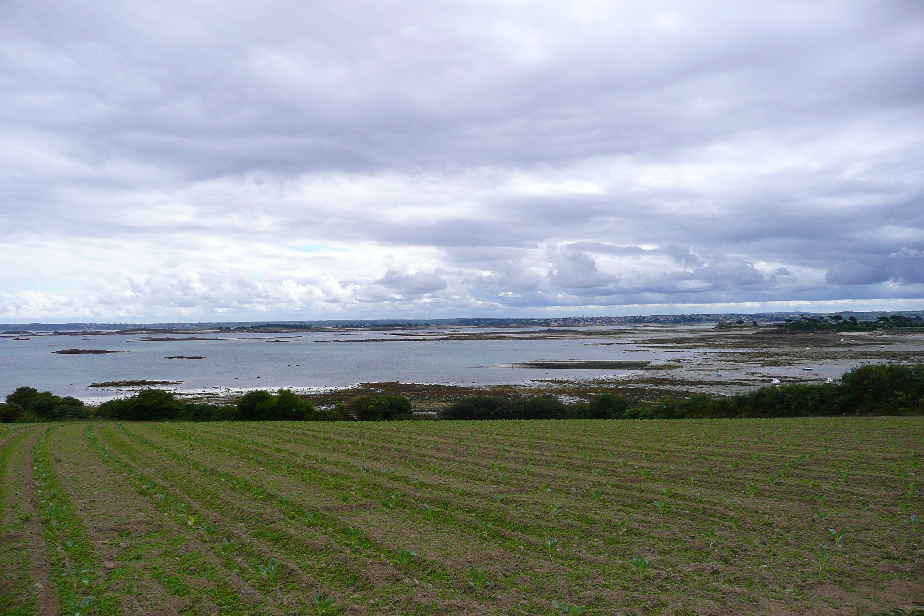 Picture France Roscoff 2007-08 1 - Tours Roscoff