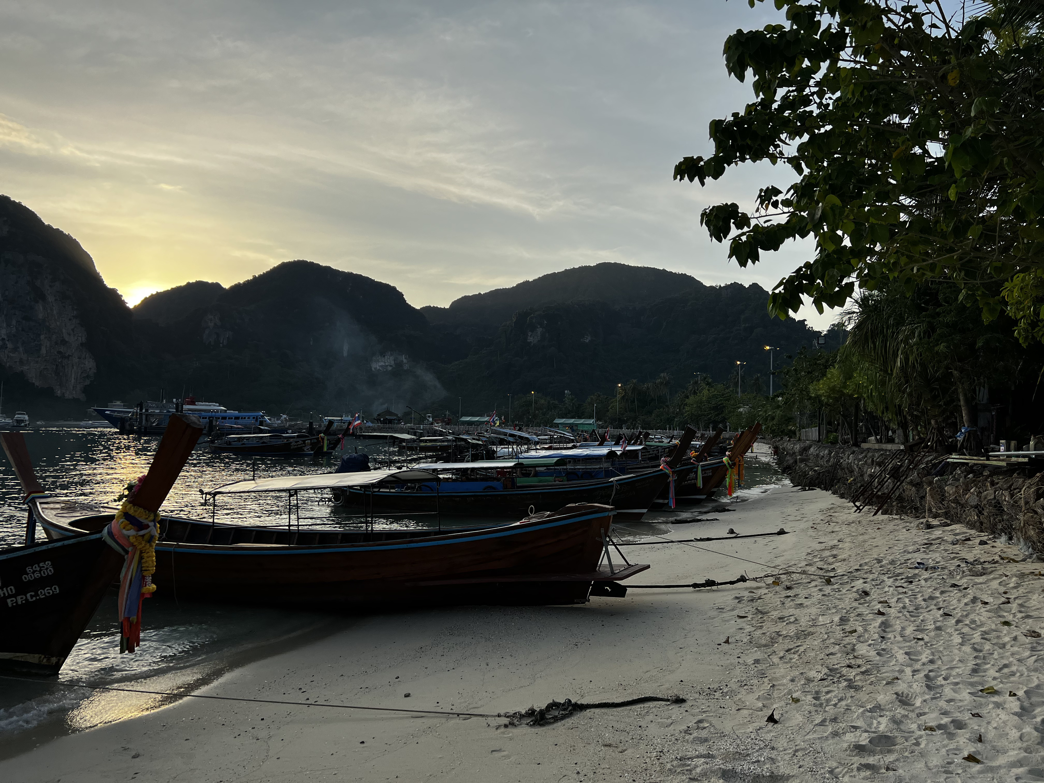 Picture Thailand Ko Phi Phi Don 2021-12 177 - Discovery Ko Phi Phi Don