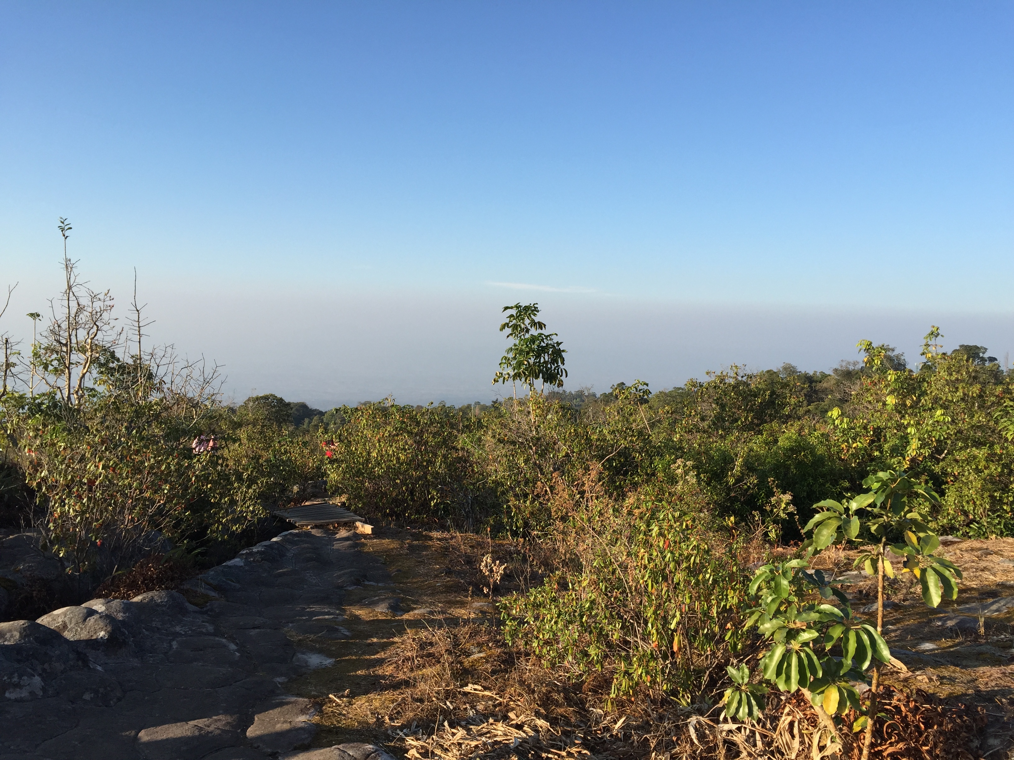 Picture Thailand Phu Hin Rong Kla National Park 2014-12 380 - Center Phu Hin Rong Kla National Park