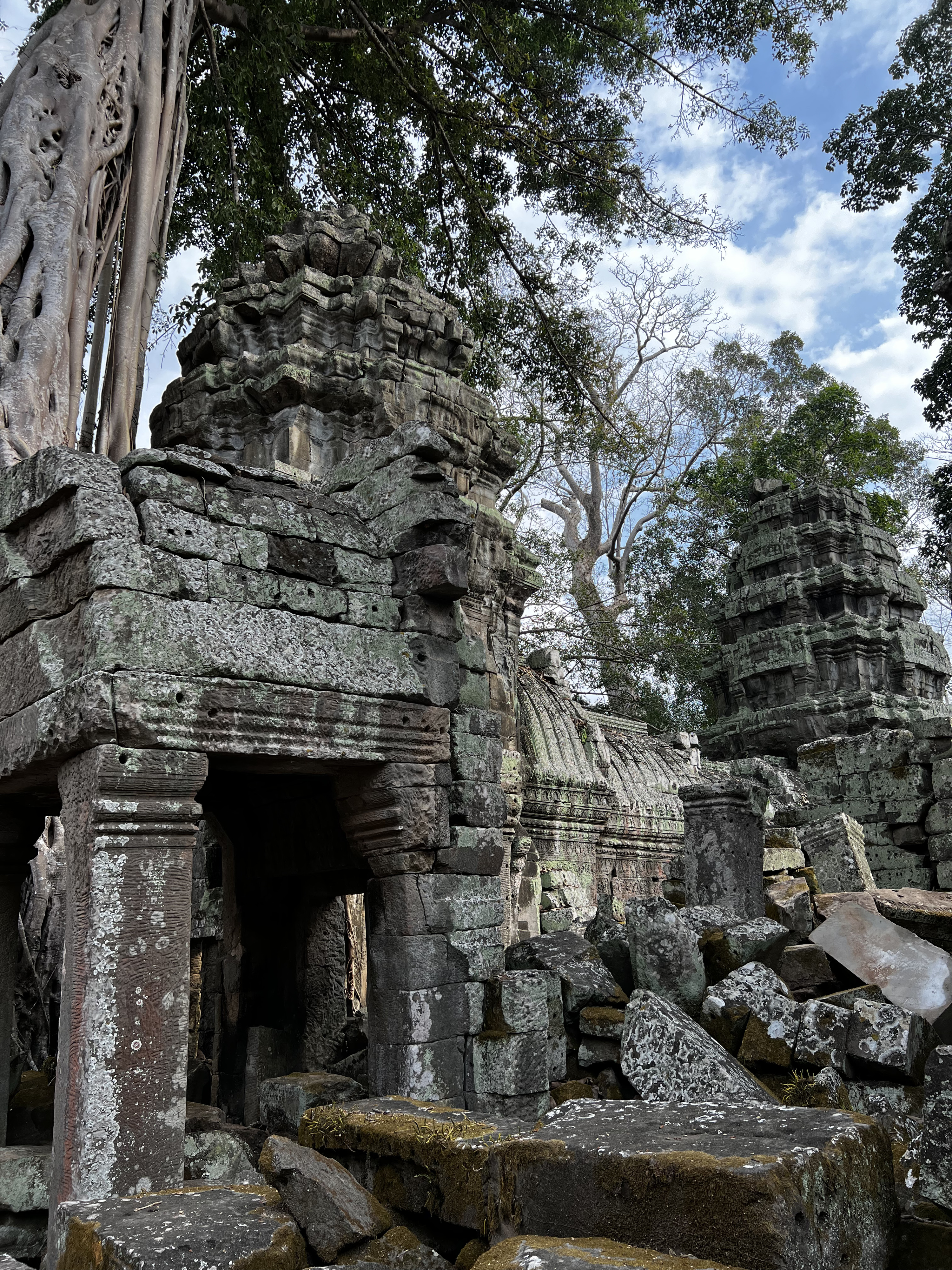 Picture Cambodia Siem Reap Ta Prohm 2023-01 119 - Tour Ta Prohm