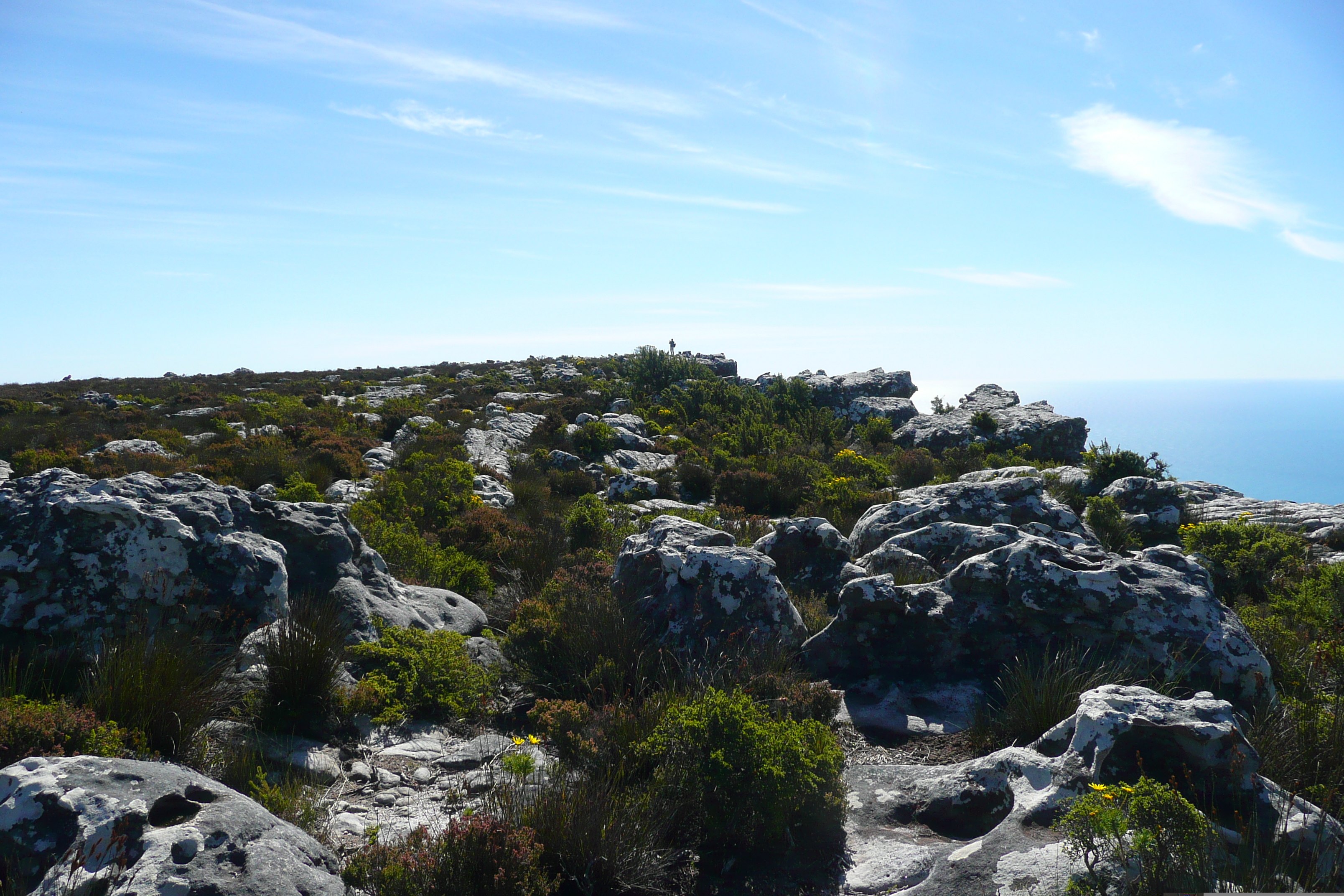 Picture South Africa Cape Town Table Mountain 2008-09 53 - Center Table Mountain