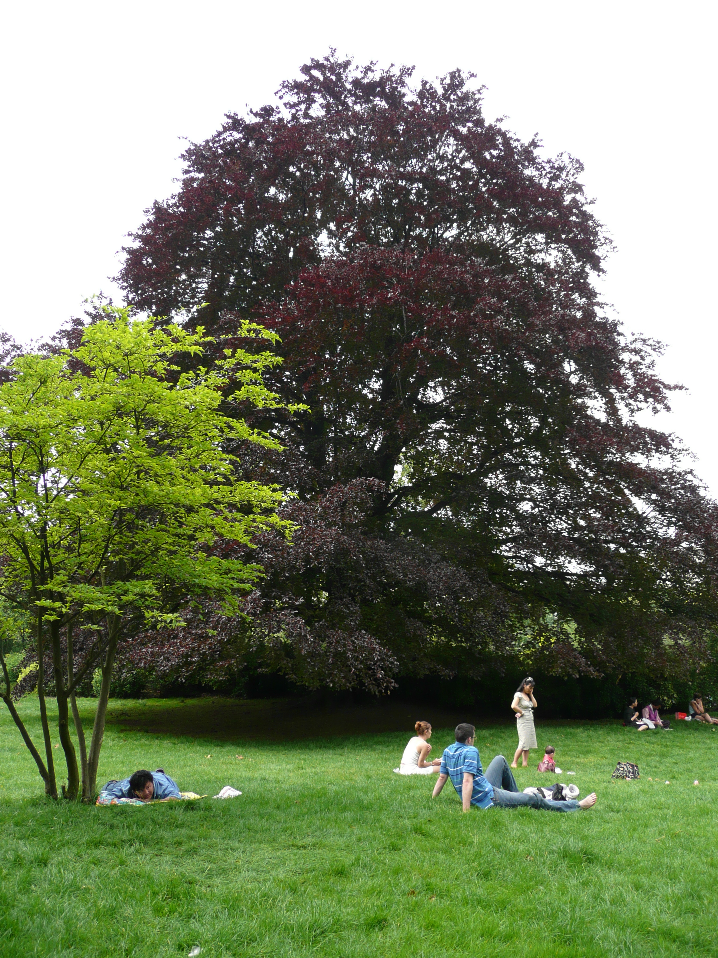 Picture France Paris Monceau Garden 2007-06 3 - Tours Monceau Garden