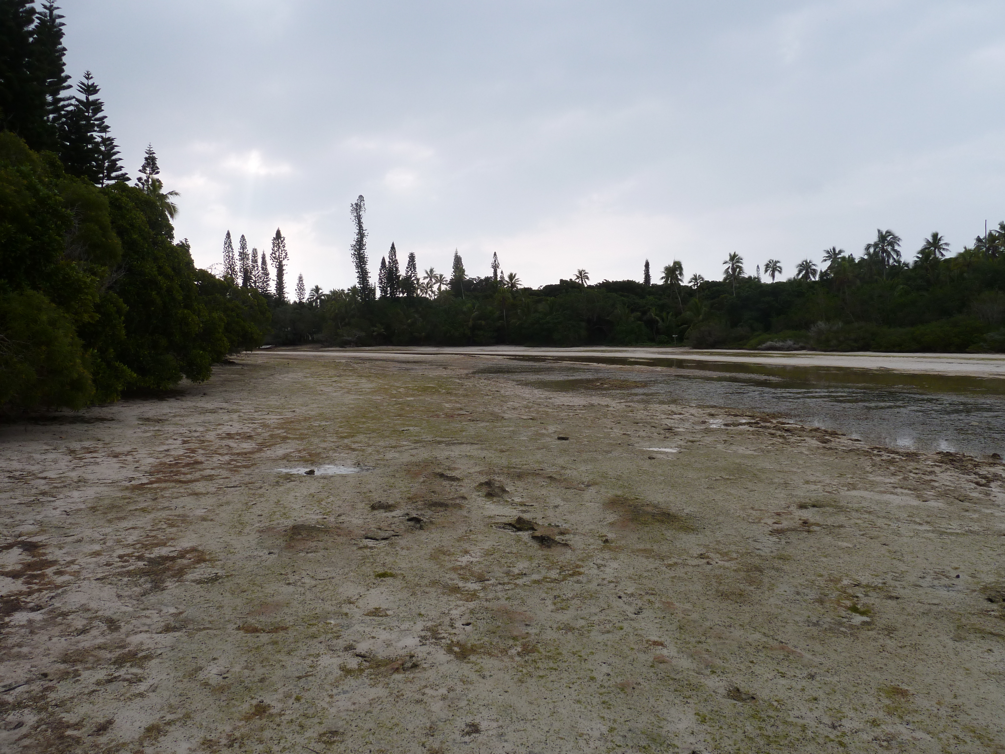 Picture New Caledonia Ile des pins Oro Bay 2010-05 39 - Discovery Oro Bay