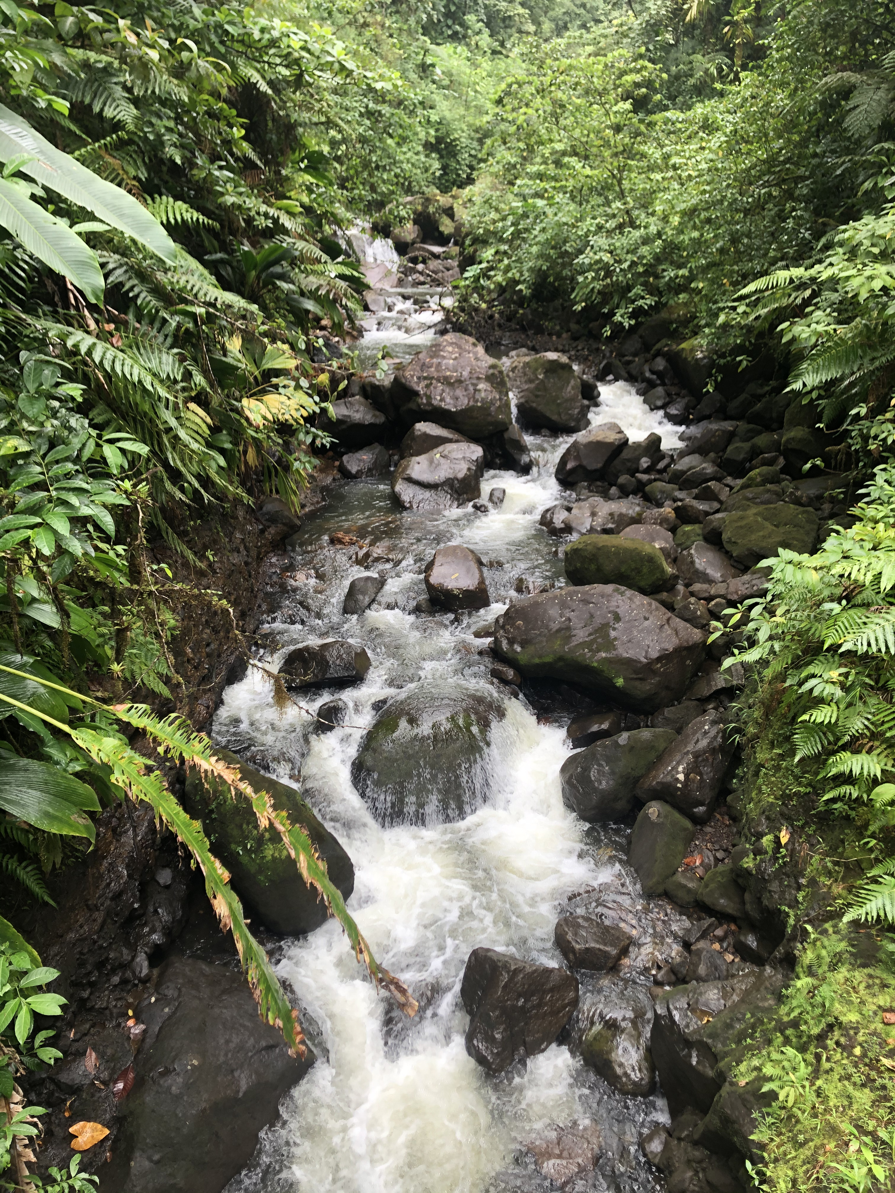 Picture Guadeloupe Carbet Falls 2021-02 2 - History Carbet Falls