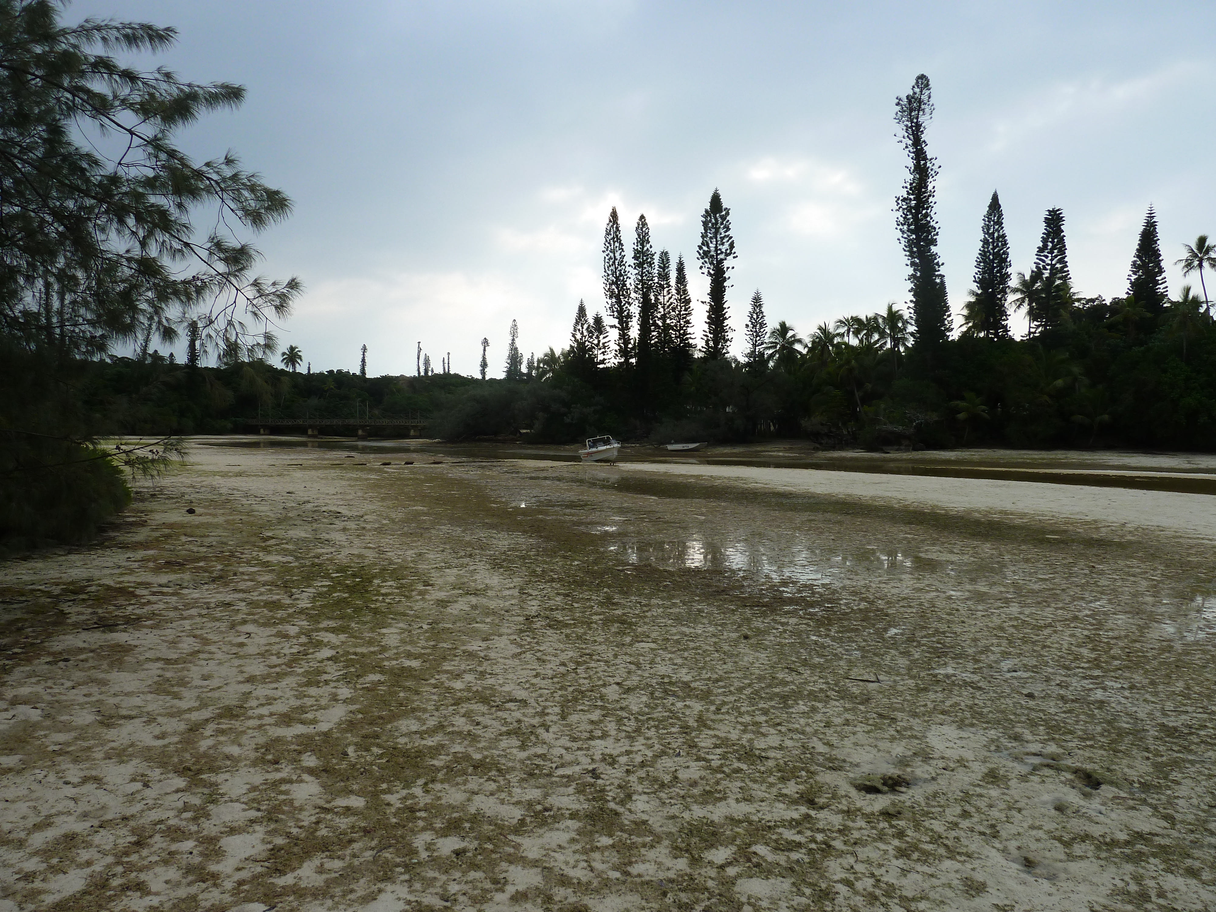 Picture New Caledonia Ile des pins Oro Bay 2010-05 81 - Journey Oro Bay