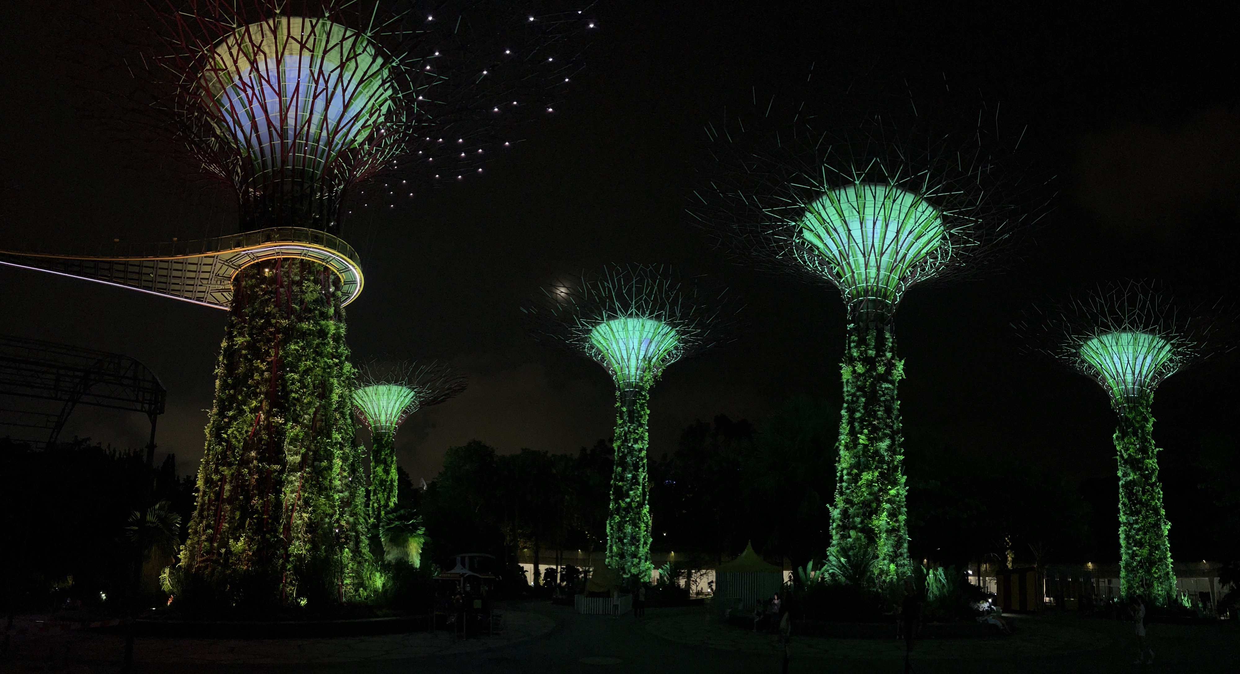 Picture Singapore Garden by the bay 2023-01 11 - Discovery Garden by the bay