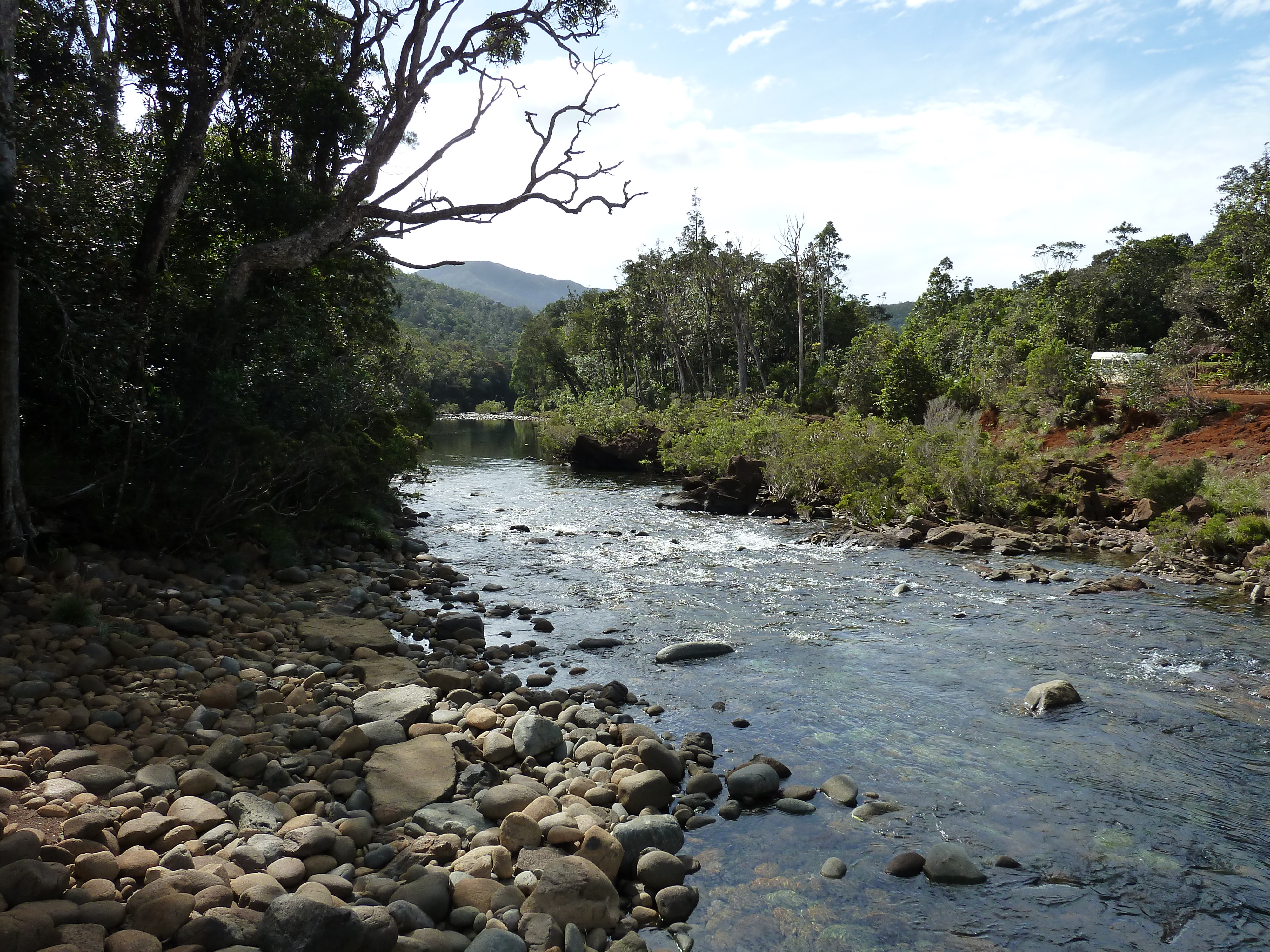 Picture New Caledonia Parc de la Riviere Bleue 2010-05 152 - History Parc de la Riviere Bleue