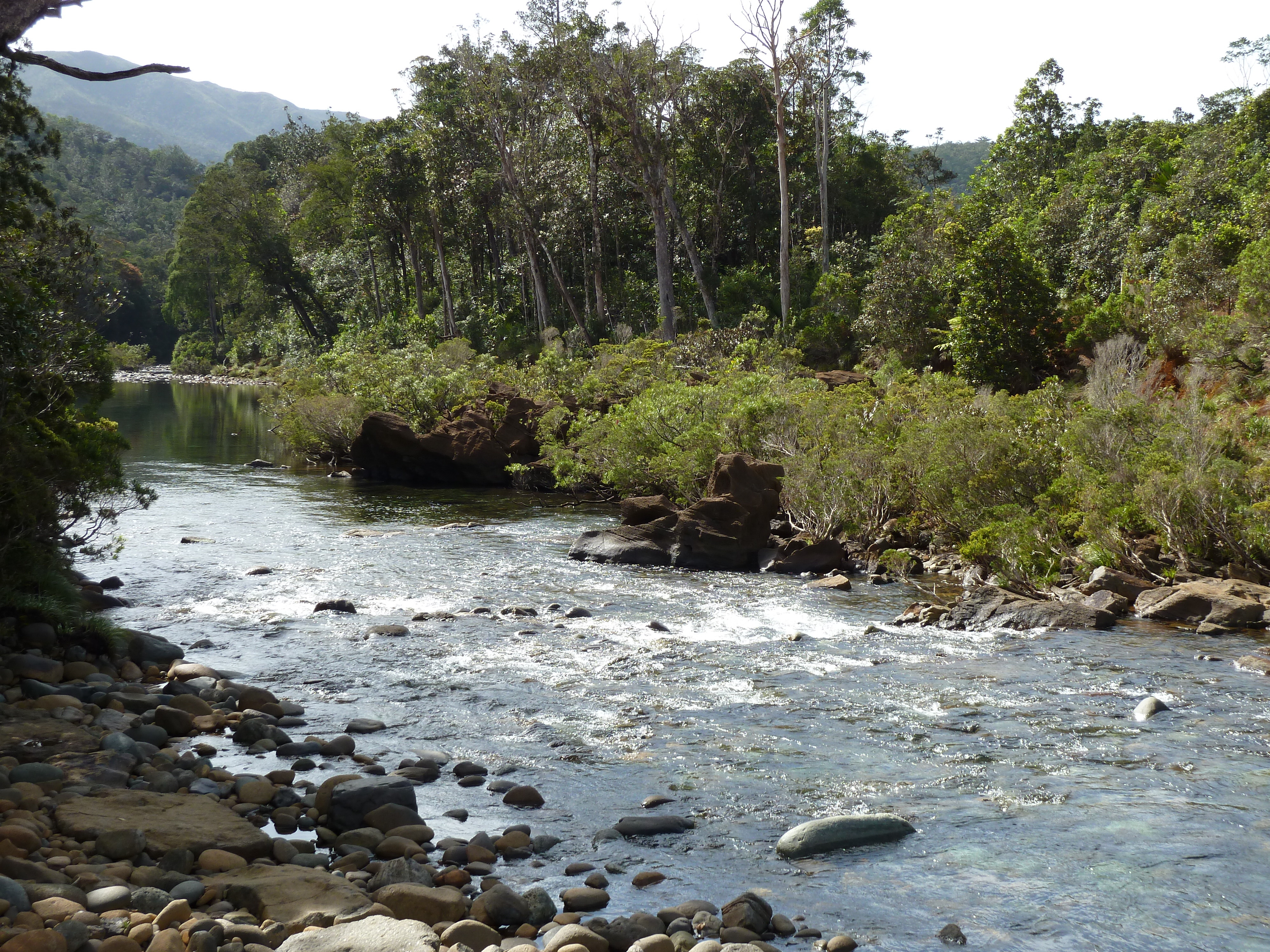 Picture New Caledonia Parc de la Riviere Bleue 2010-05 164 - Tour Parc de la Riviere Bleue