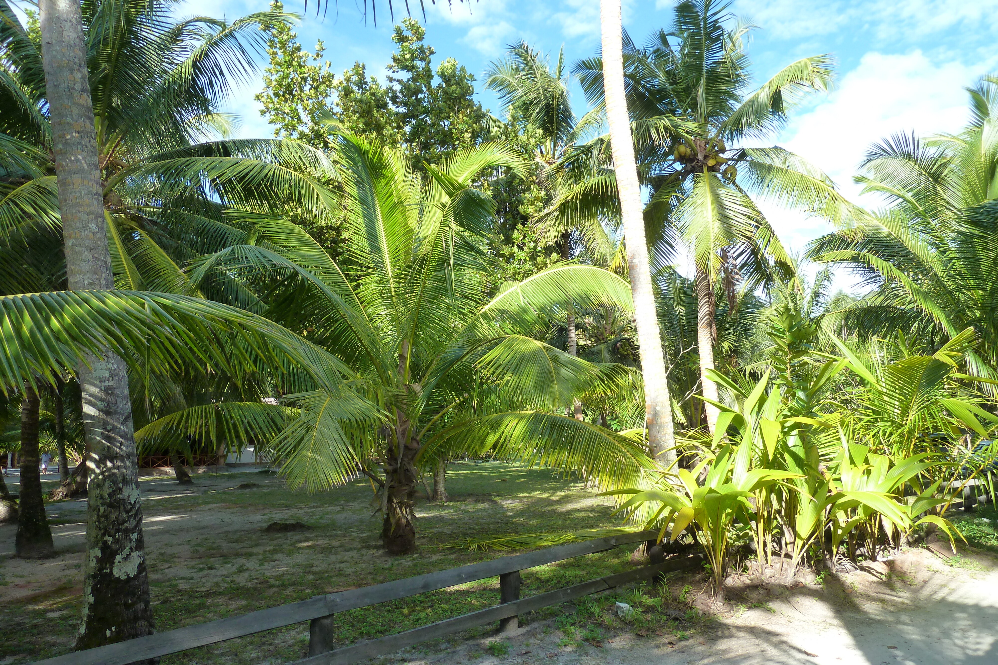 Picture Seychelles Anse Lazio 2011-10 100 - Tours Anse Lazio