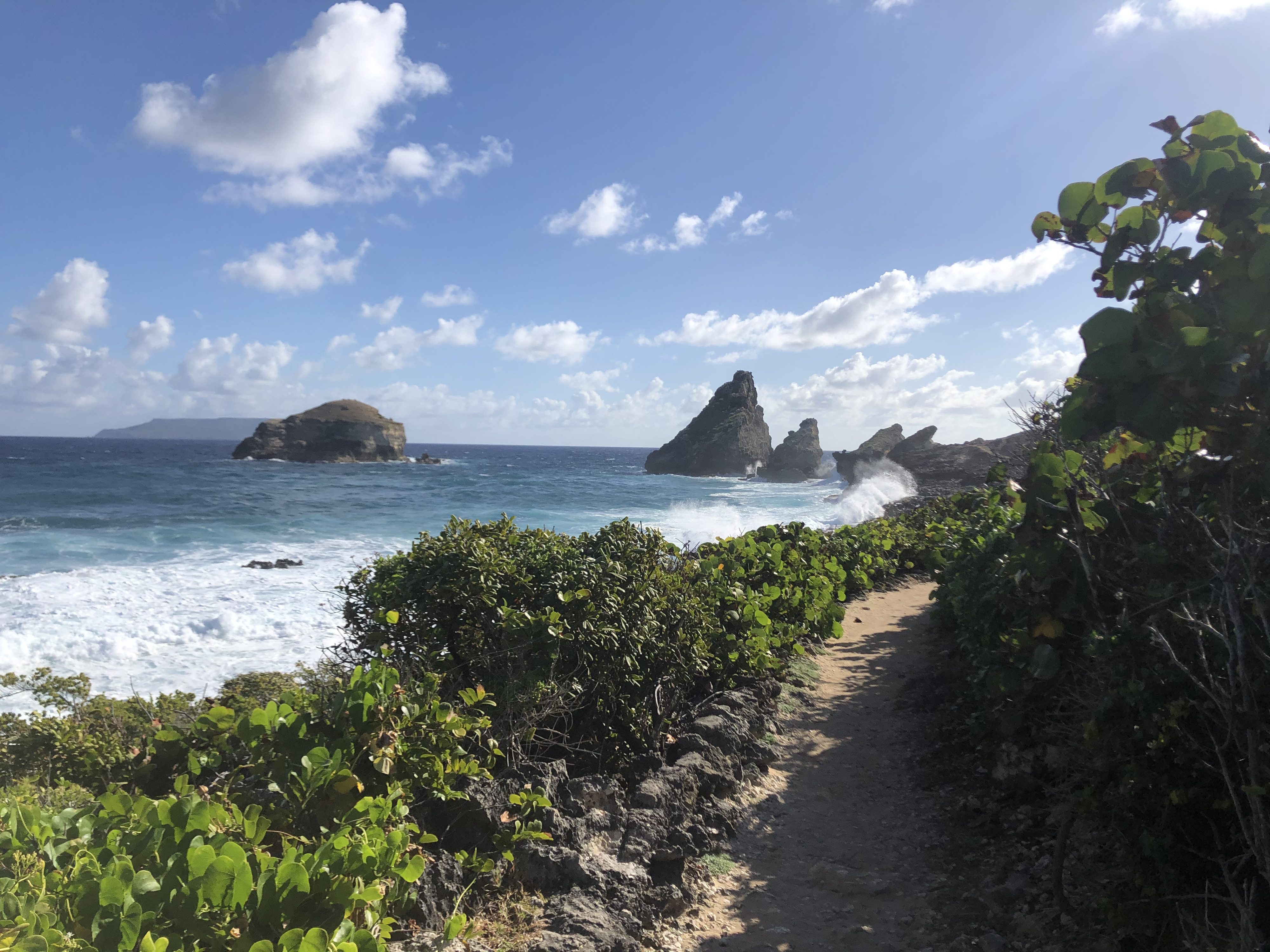 Picture Guadeloupe Castle Point 2021-02 272 - Journey Castle Point