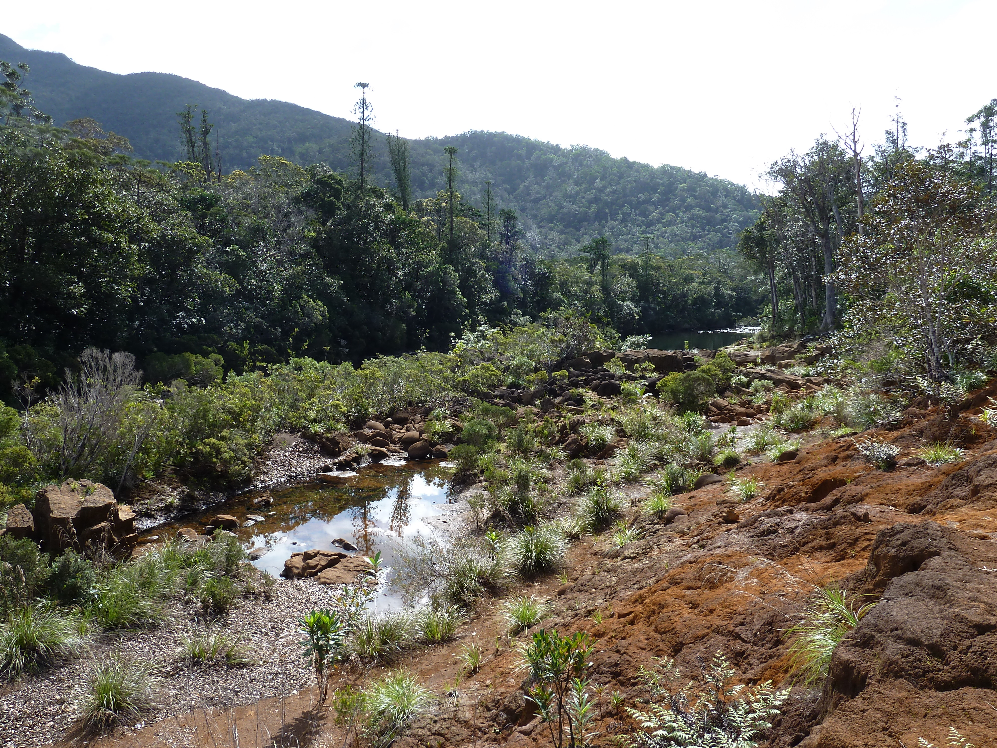 Picture New Caledonia Parc de la Riviere Bleue 2010-05 4 - Journey Parc de la Riviere Bleue