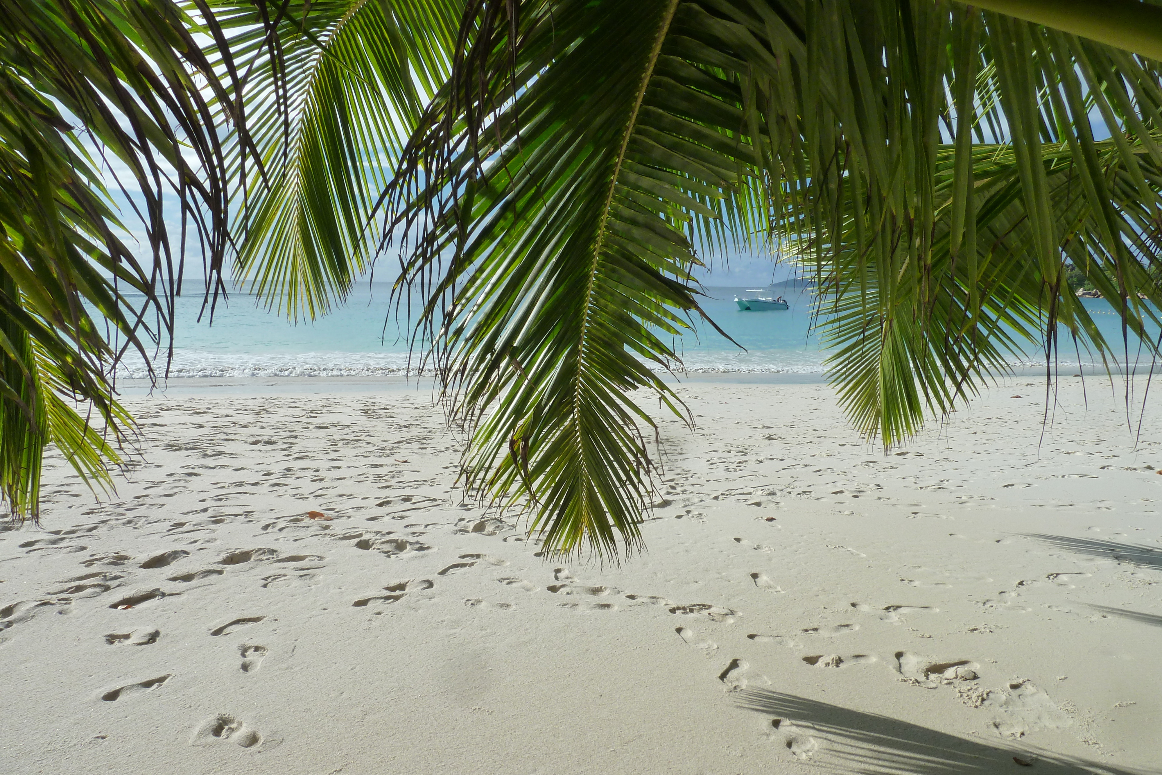 Picture Seychelles Anse Lazio 2011-10 124 - Discovery Anse Lazio