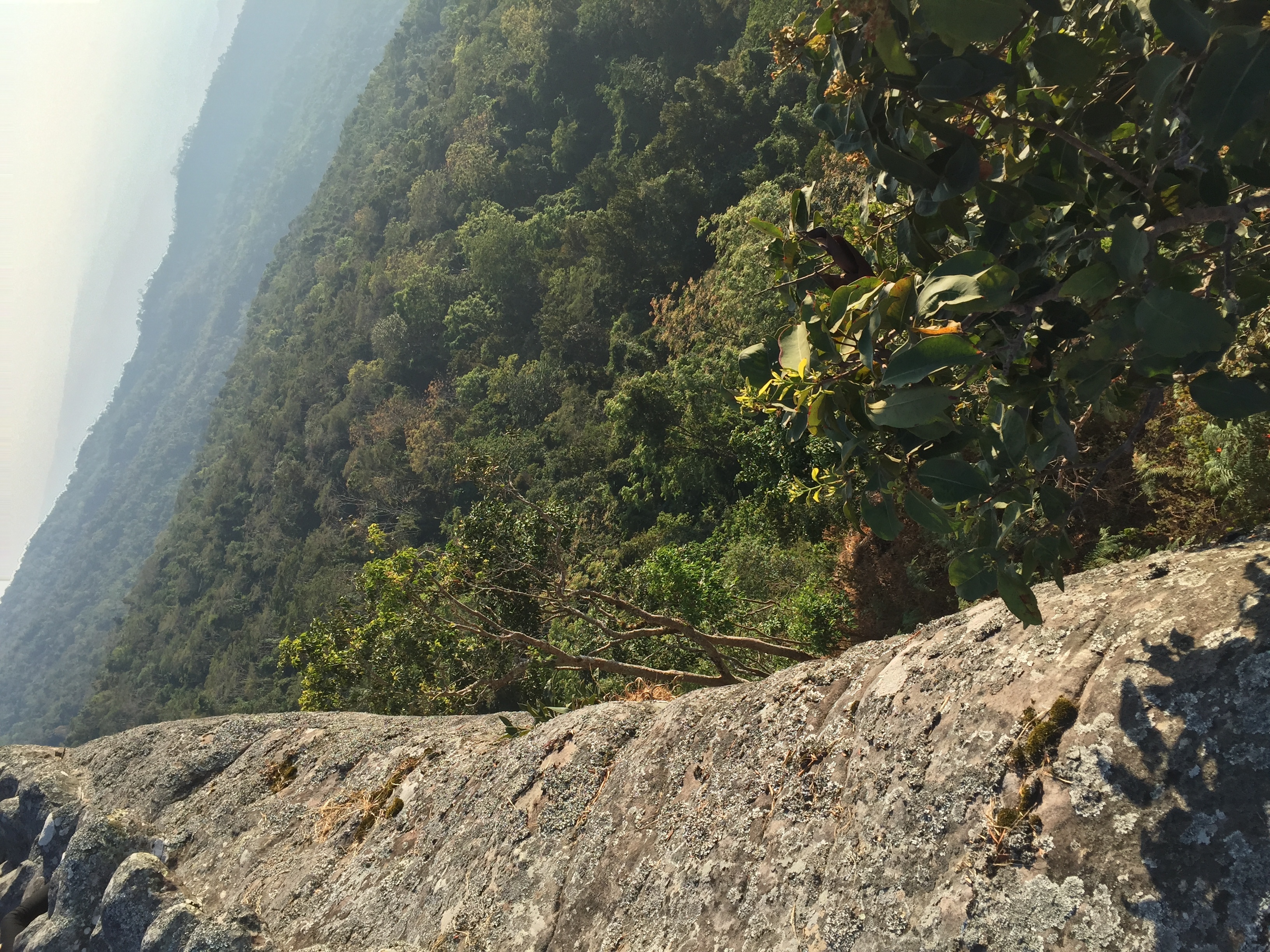 Picture Thailand Phu Hin Rong Kla National Park 2014-12 345 - History Phu Hin Rong Kla National Park