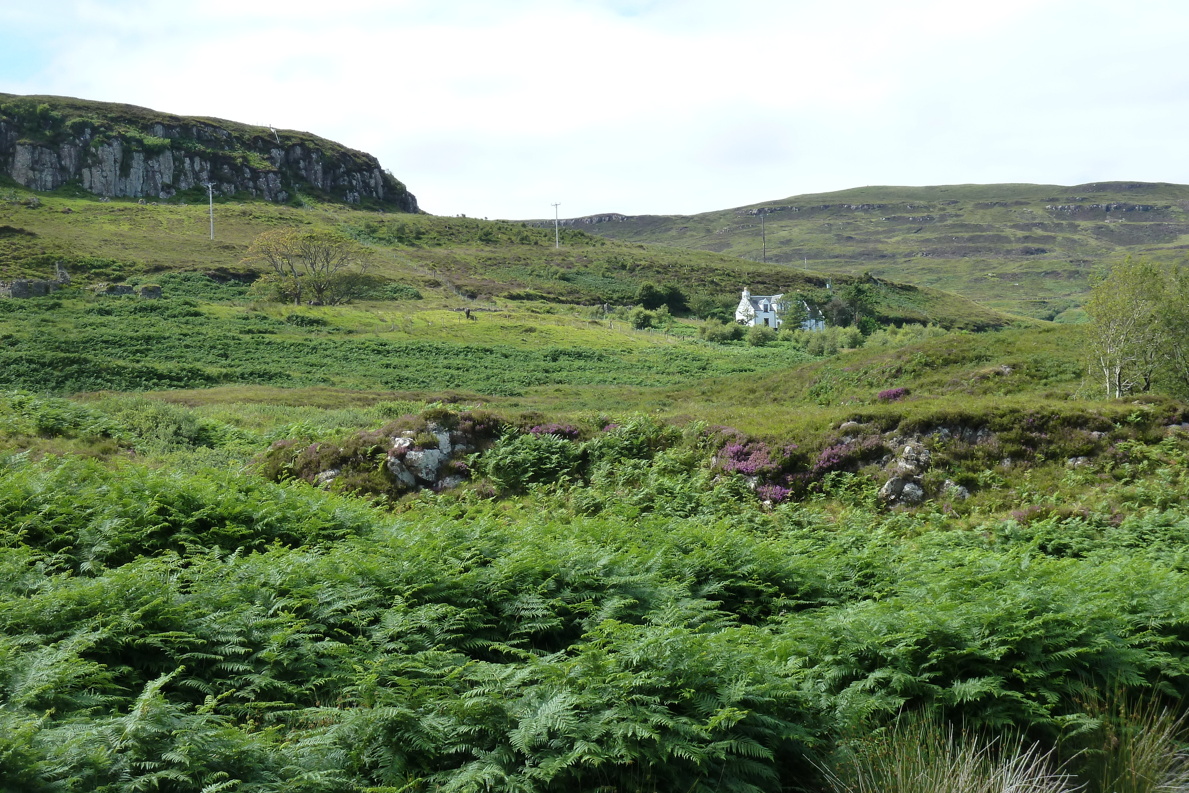 Picture United Kingdom Skye 2011-07 95 - Recreation Skye