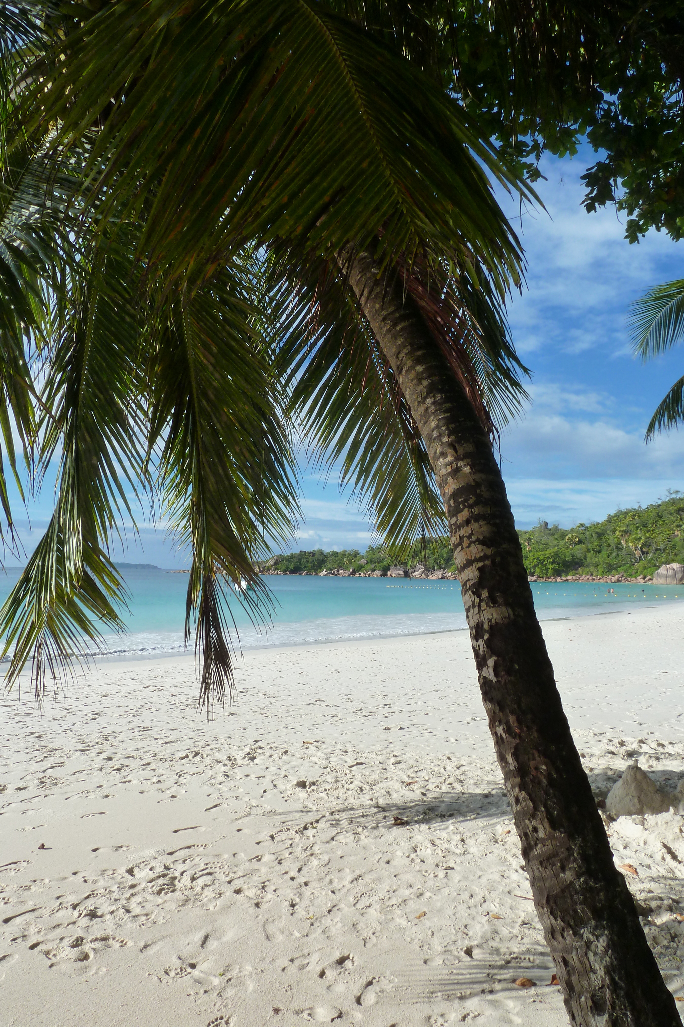 Picture Seychelles Anse Lazio 2011-10 50 - Discovery Anse Lazio