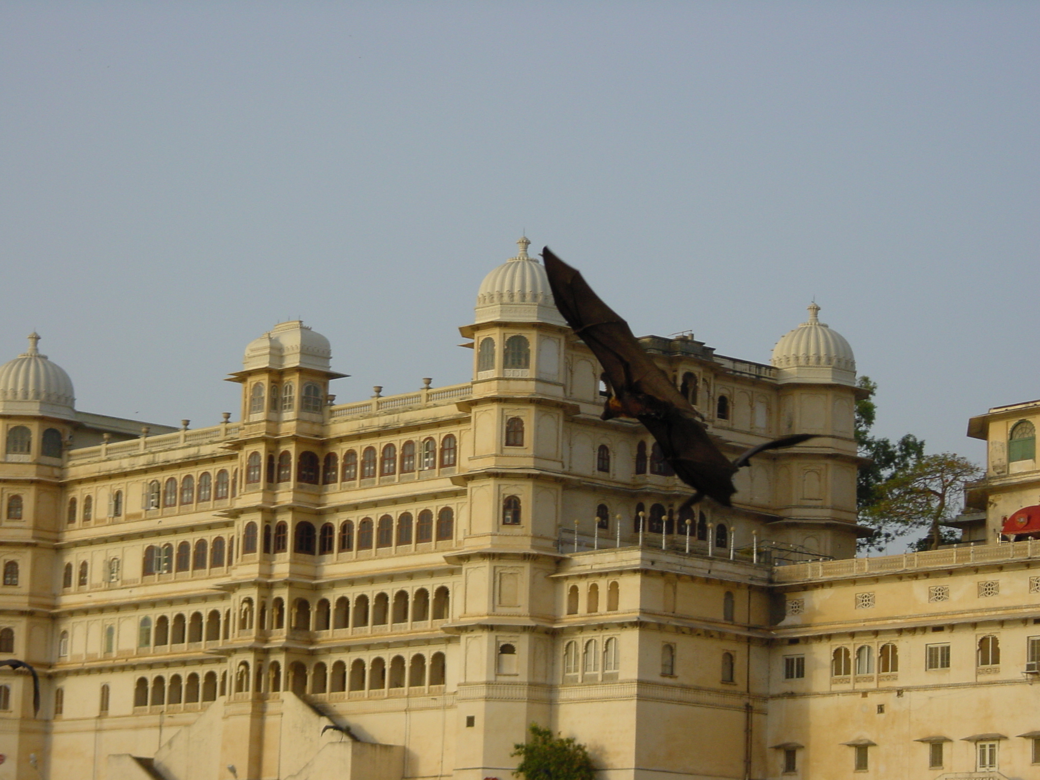 Picture India Udaipur 2003-05 19 - Tour Udaipur