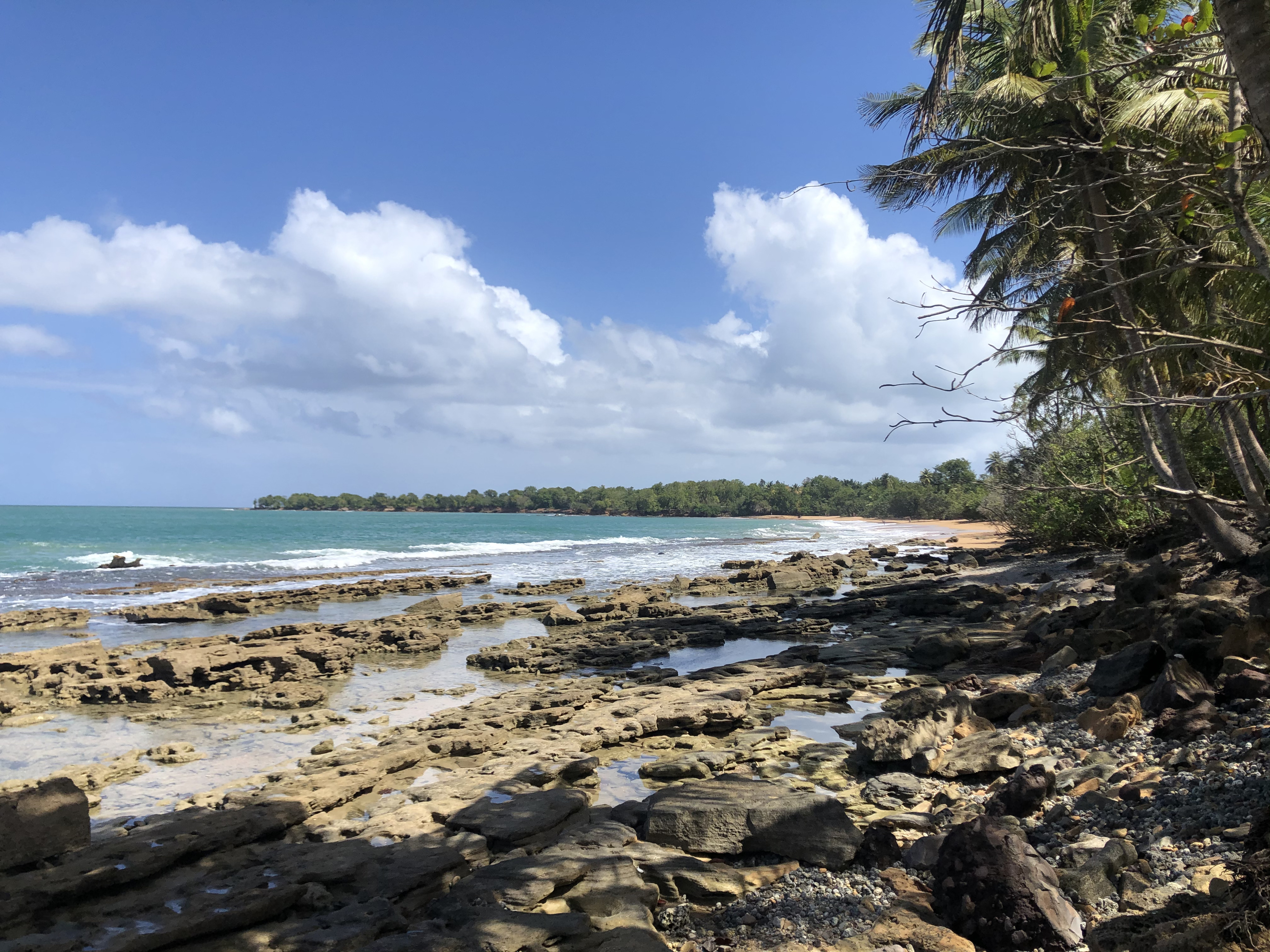 Picture Guadeloupe Clugny Beach 2021-02 7 - Center Clugny Beach