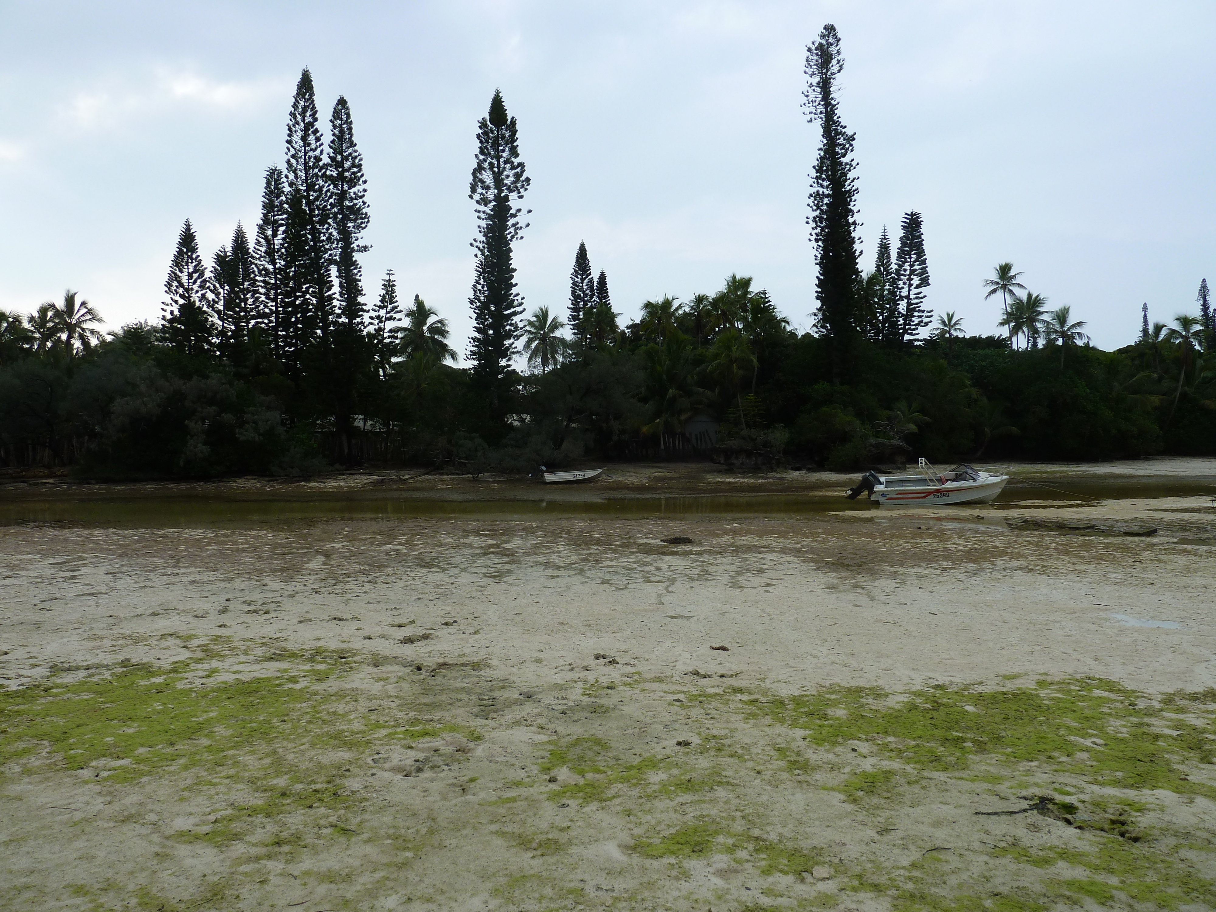 Picture New Caledonia Ile des pins Oro Bay 2010-05 105 - Center Oro Bay