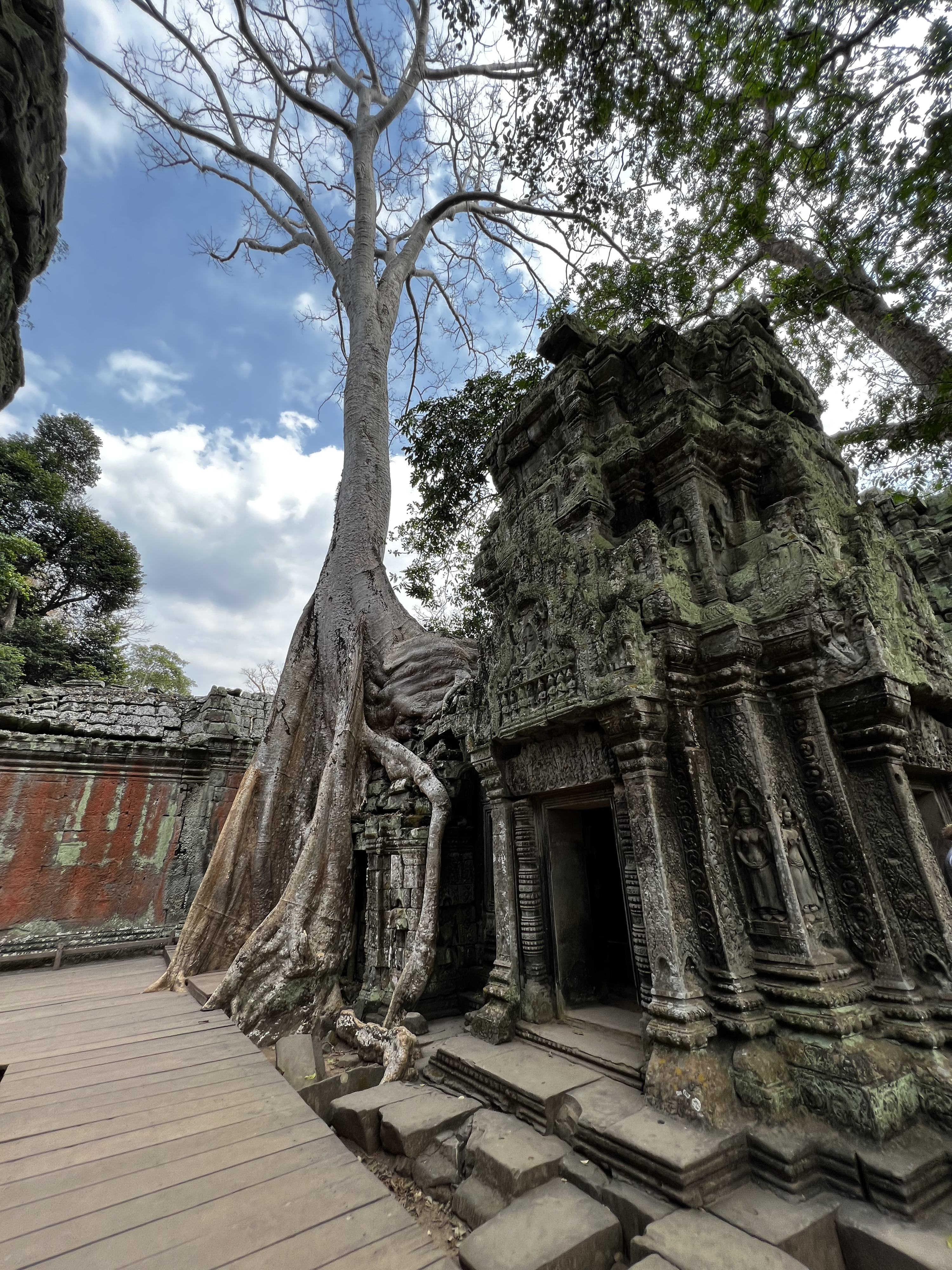 Picture Cambodia Siem Reap Ta Prohm 2023-01 128 - Center Ta Prohm