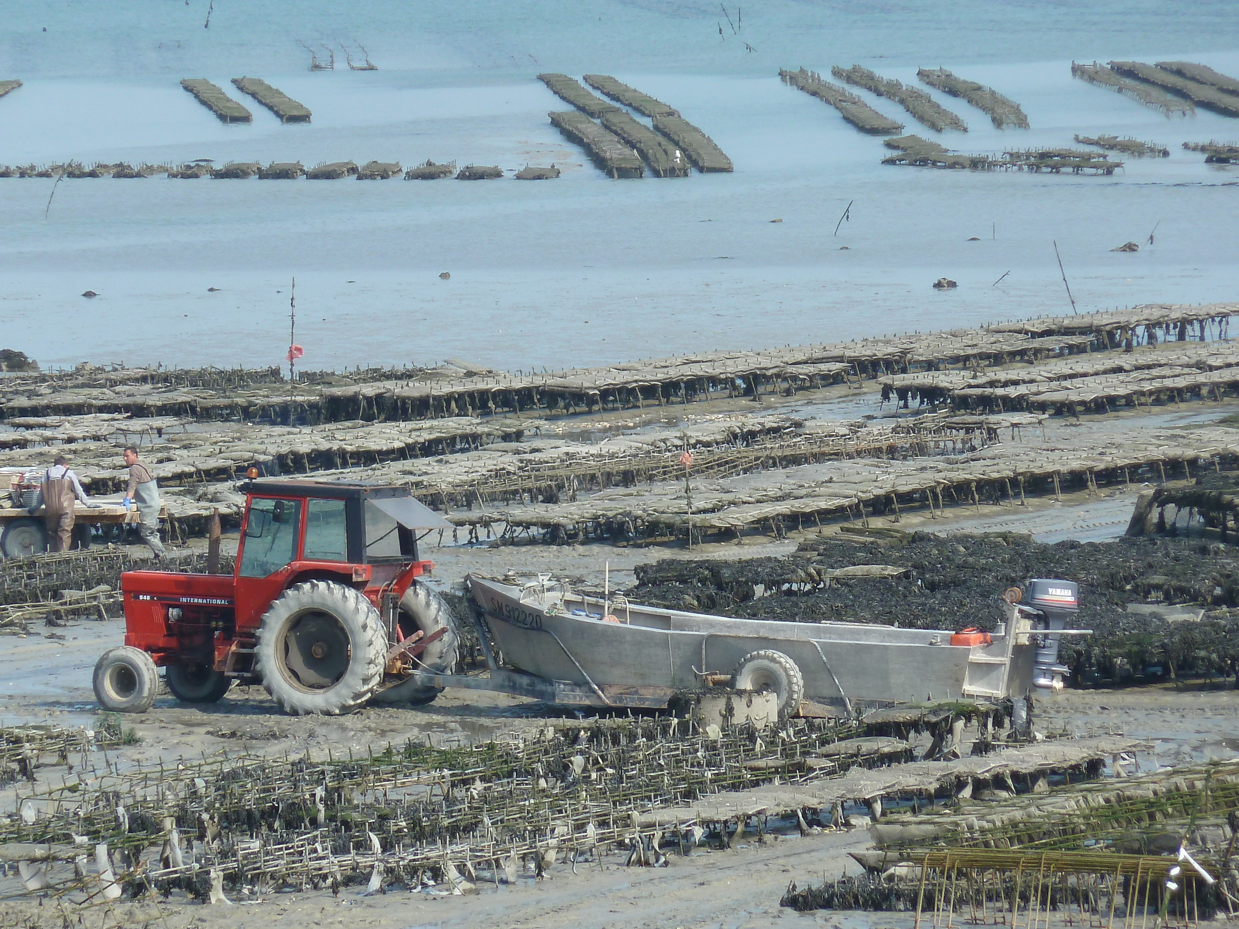 Picture France Cancale 2010-04 28 - Recreation Cancale