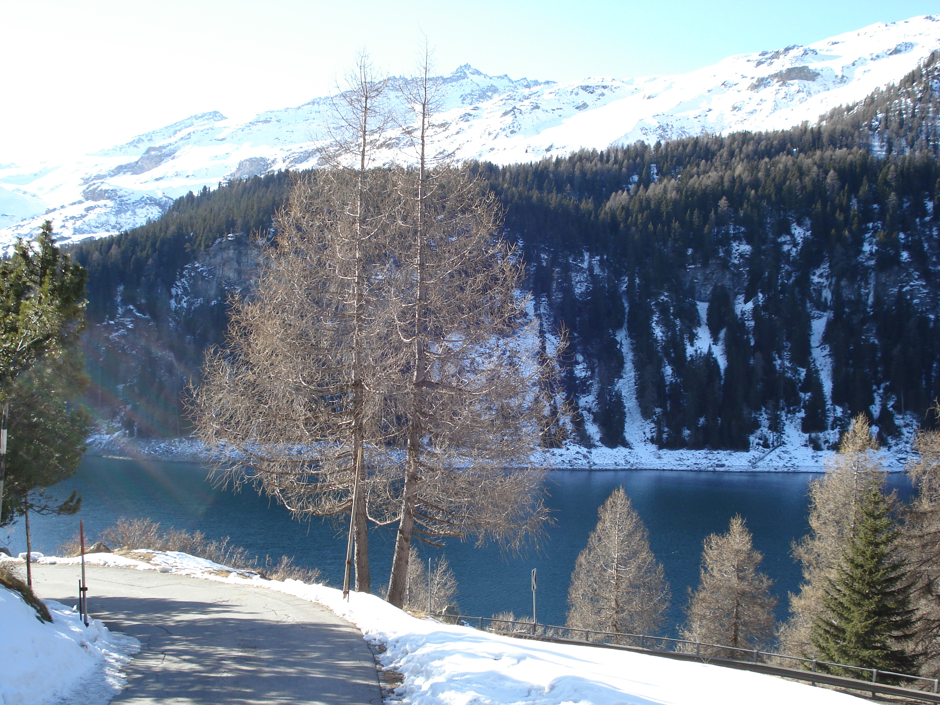 Picture Swiss Chur to St Moritz Road 2007-01 54 - Tours Chur to St Moritz Road