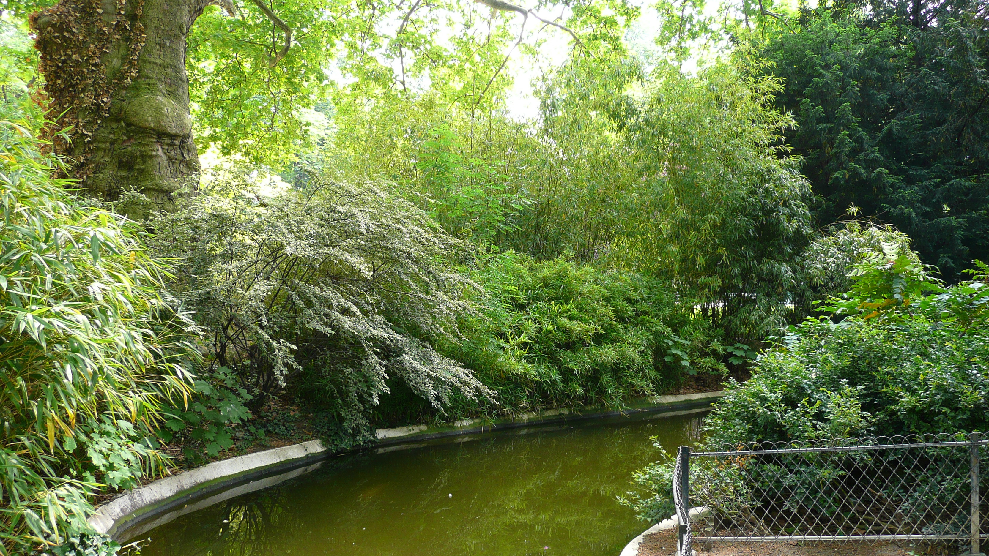 Picture France Paris Monceau Garden 2007-06 27 - Around Monceau Garden