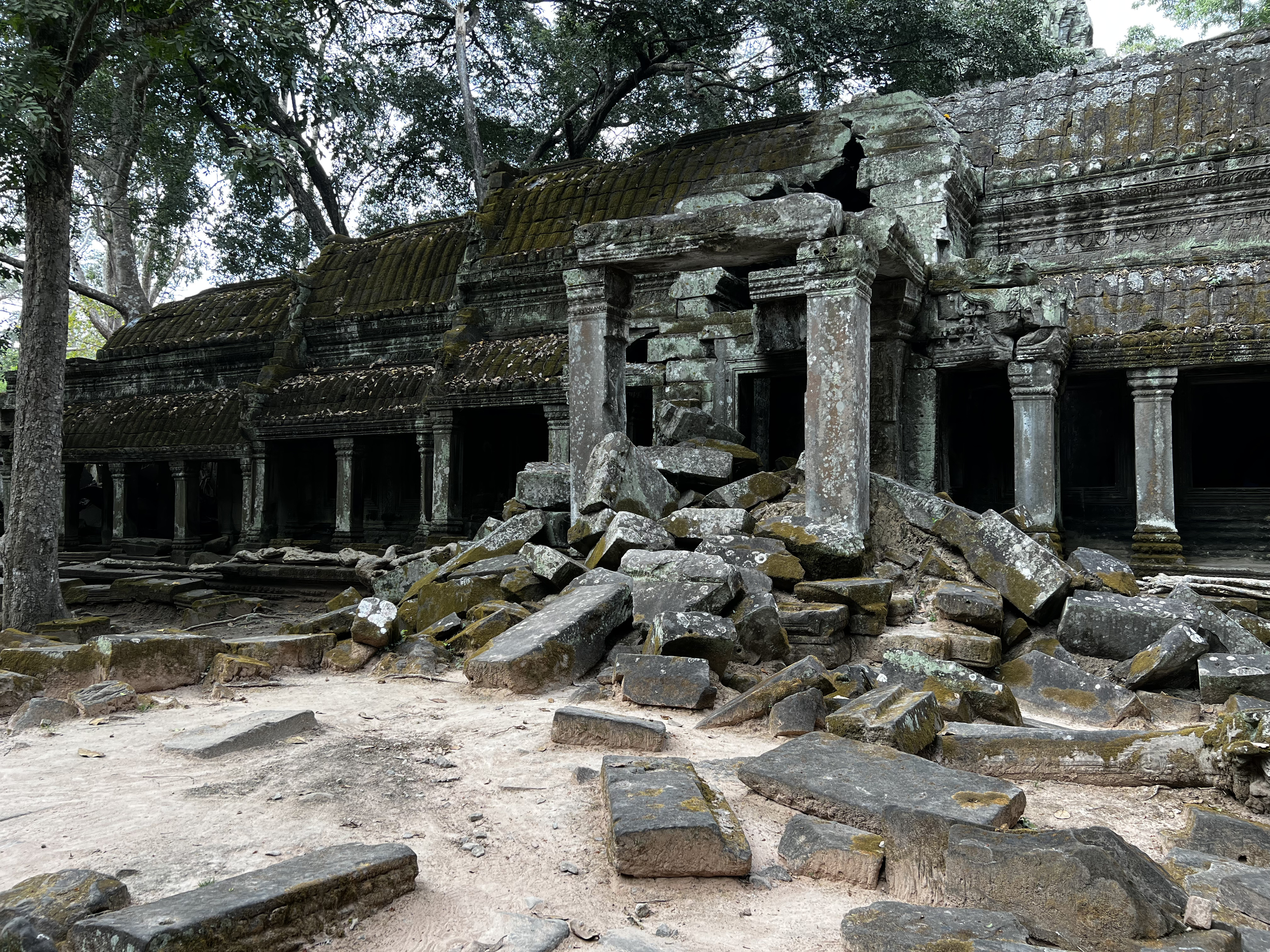 Picture Cambodia Siem Reap Ta Prohm 2023-01 82 - Discovery Ta Prohm