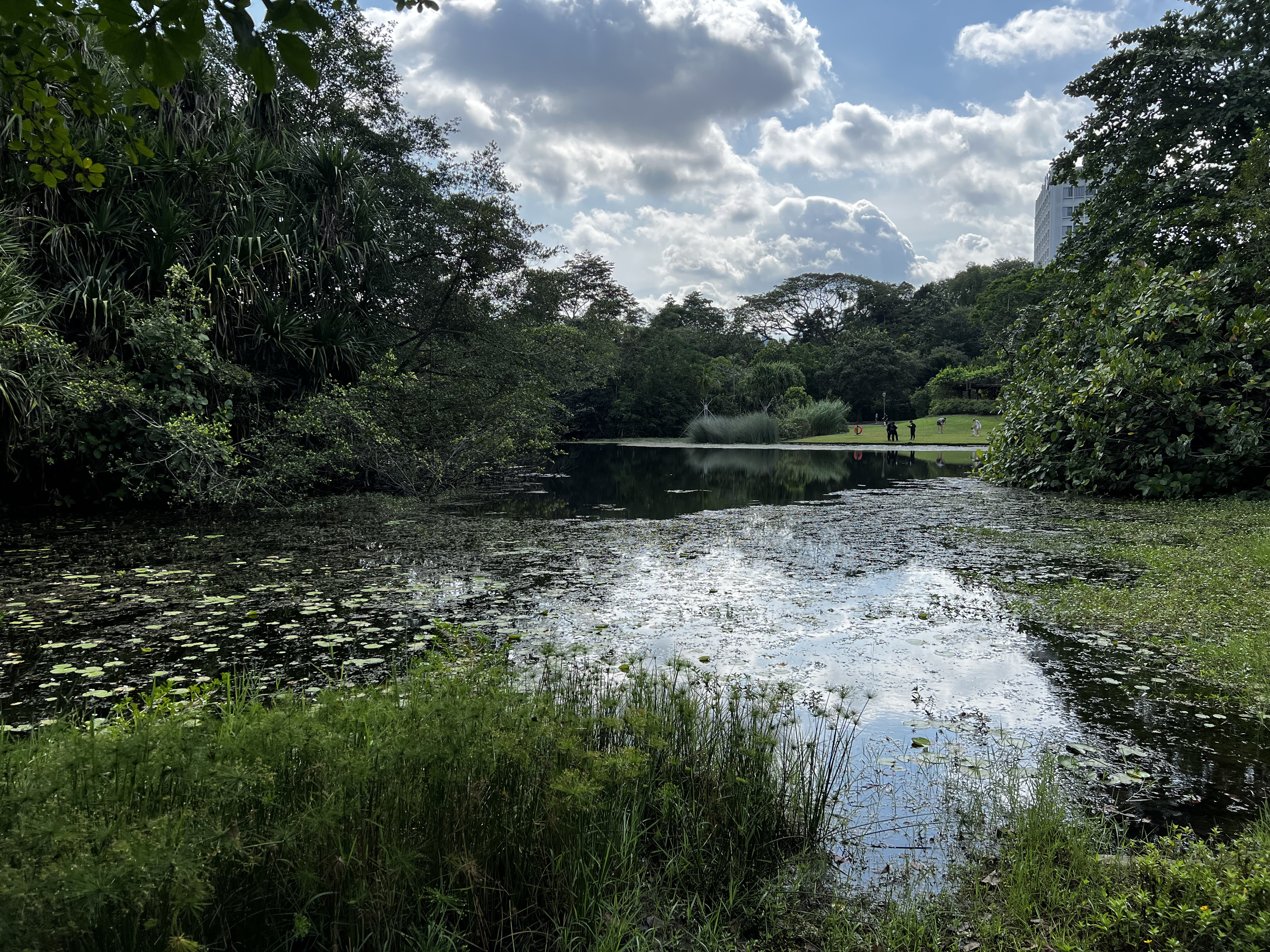 Picture Singapore Singapore Botanic Gardens 2023-01 4 - Tours Singapore Botanic Gardens