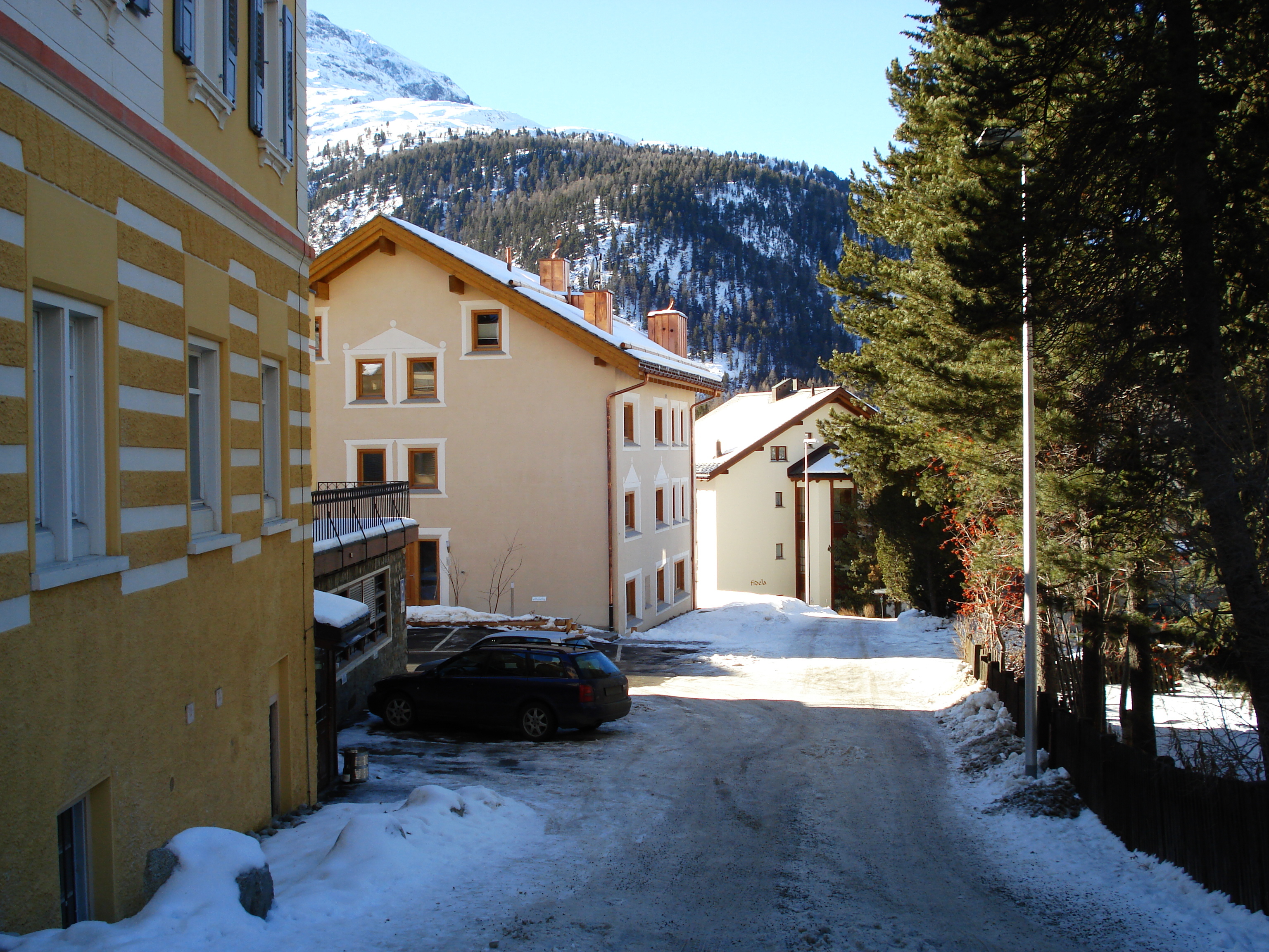 Picture Swiss Pontresina 2007-01 118 - History Pontresina