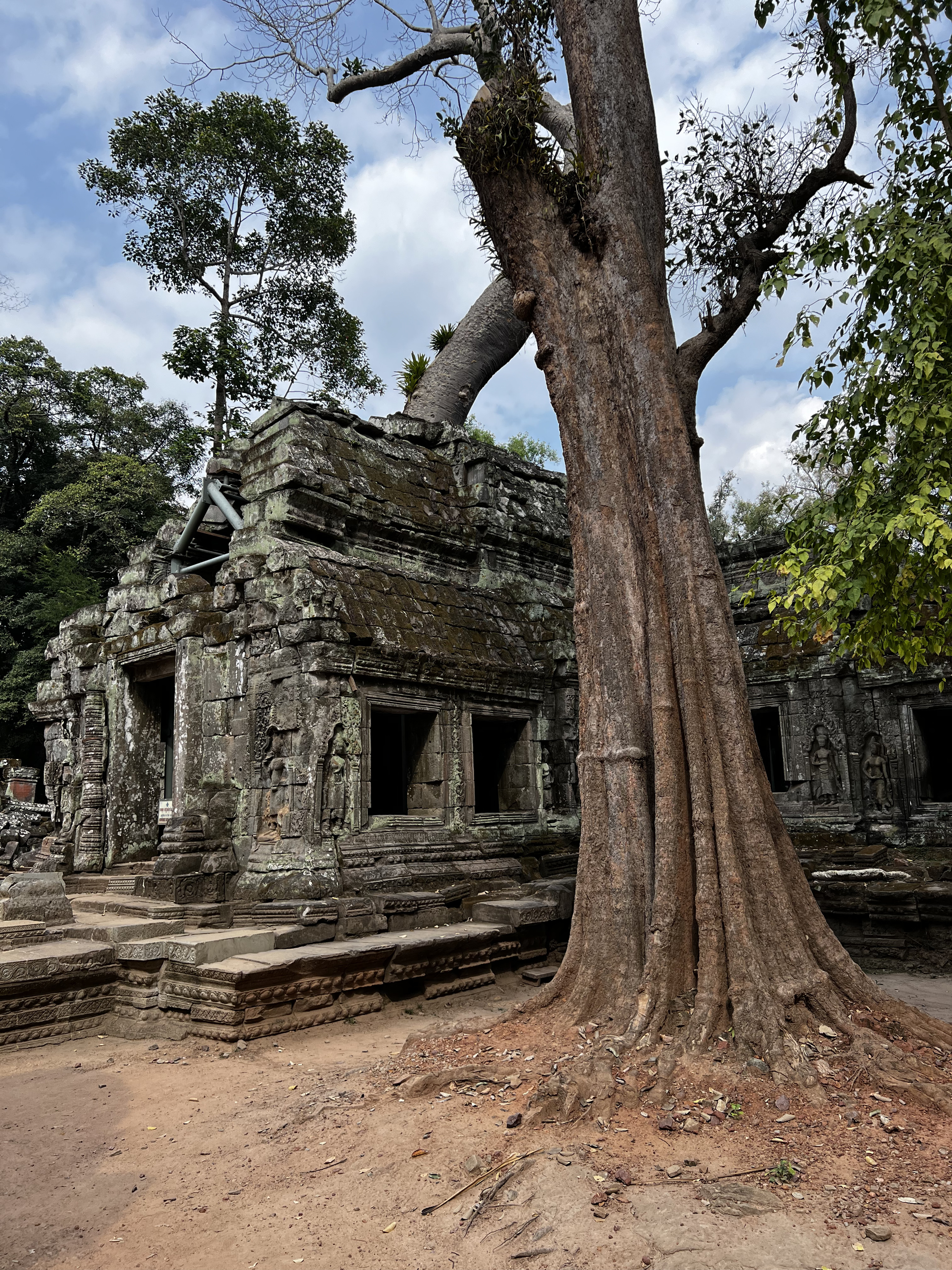 Picture Cambodia Siem Reap Ta Prohm 2023-01 134 - Center Ta Prohm