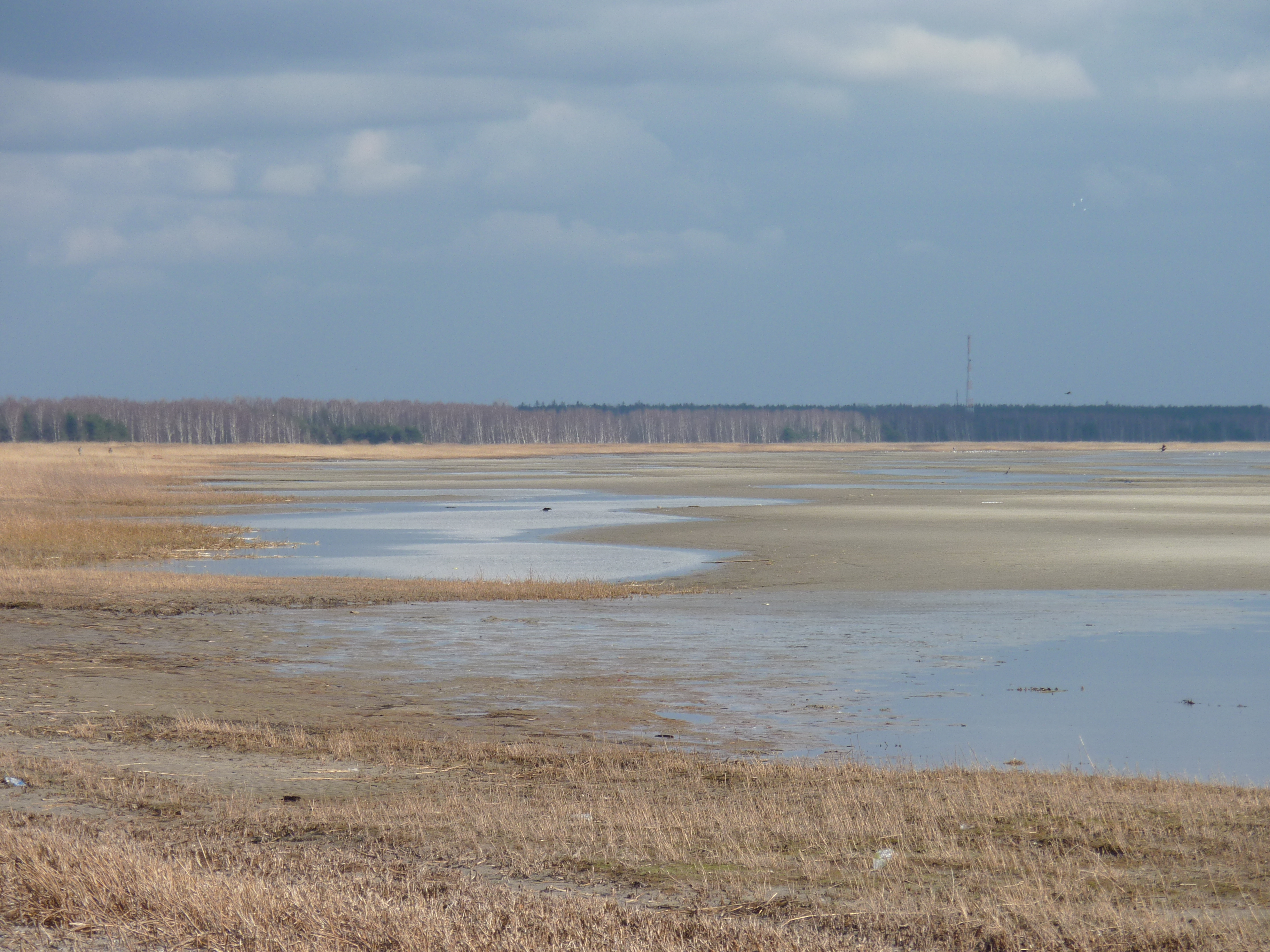 Picture Estonia Parnu 2009-04 4 - Discovery Parnu