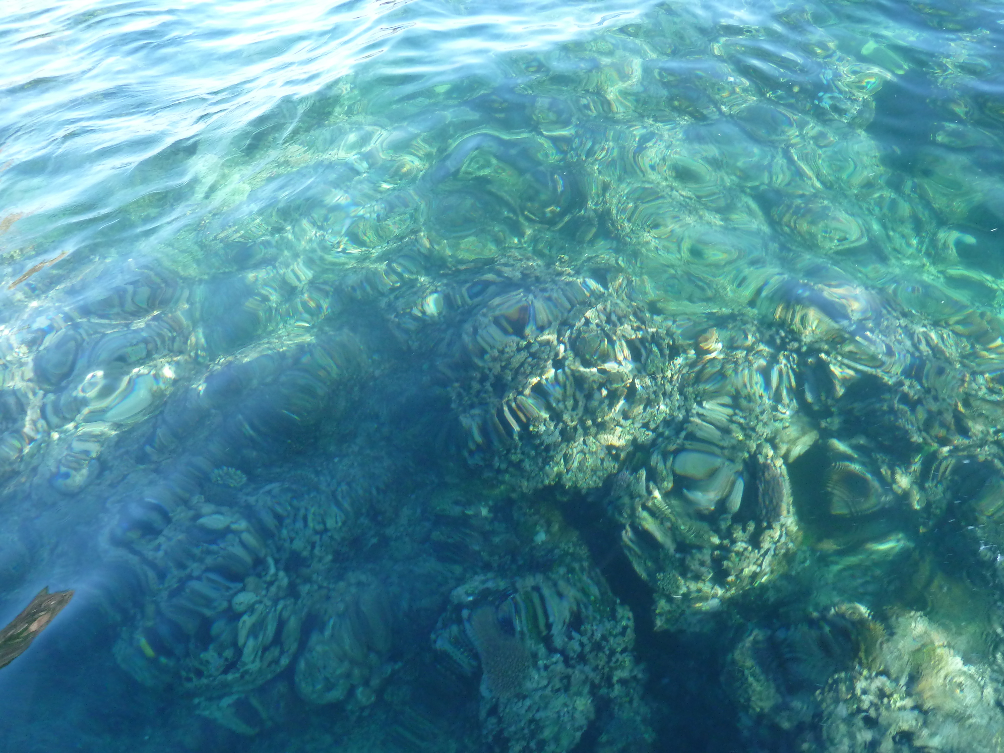 Picture Fiji Castaway Island 2010-05 169 - History Castaway Island