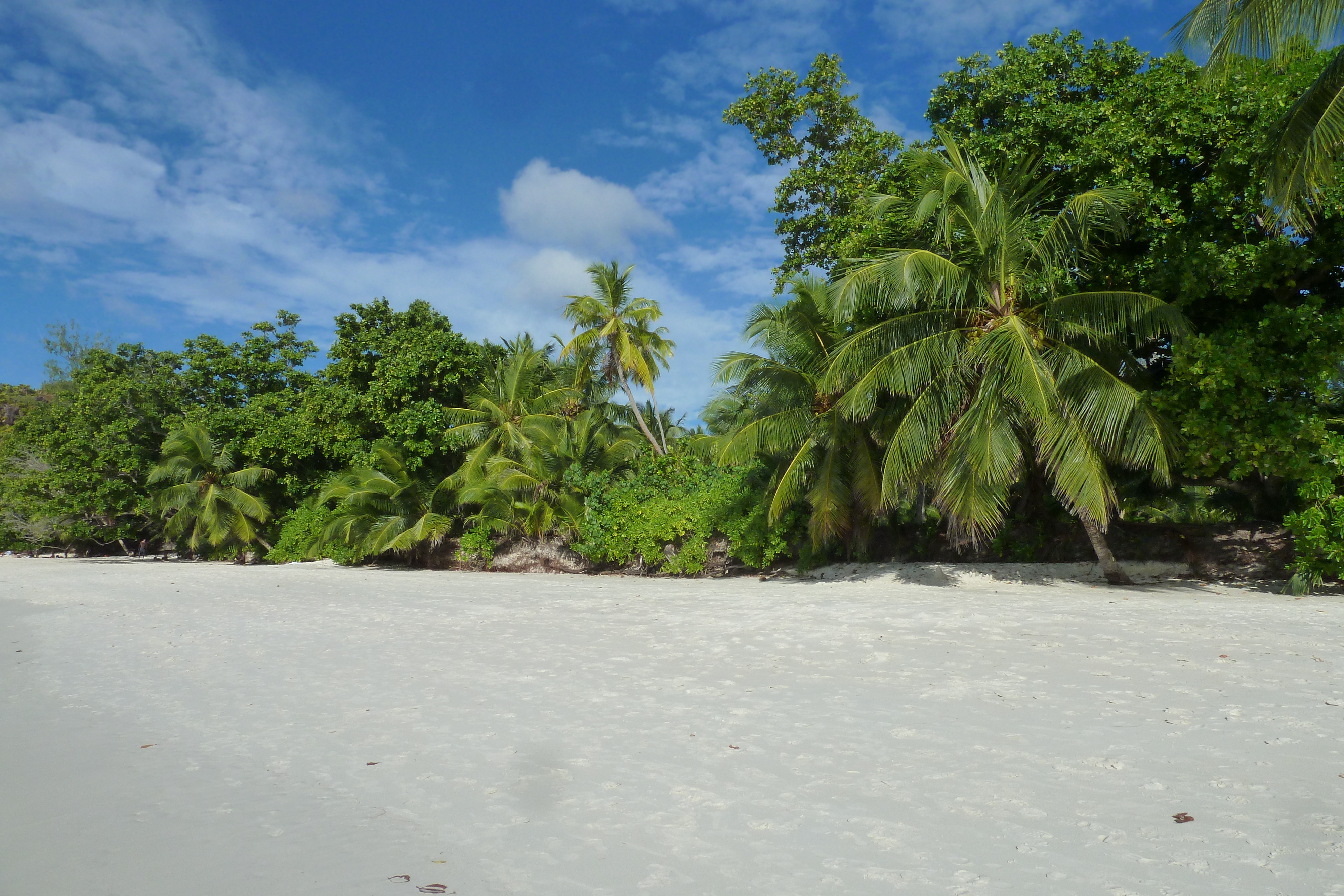 Picture Seychelles Anse Lazio 2011-10 55 - Around Anse Lazio