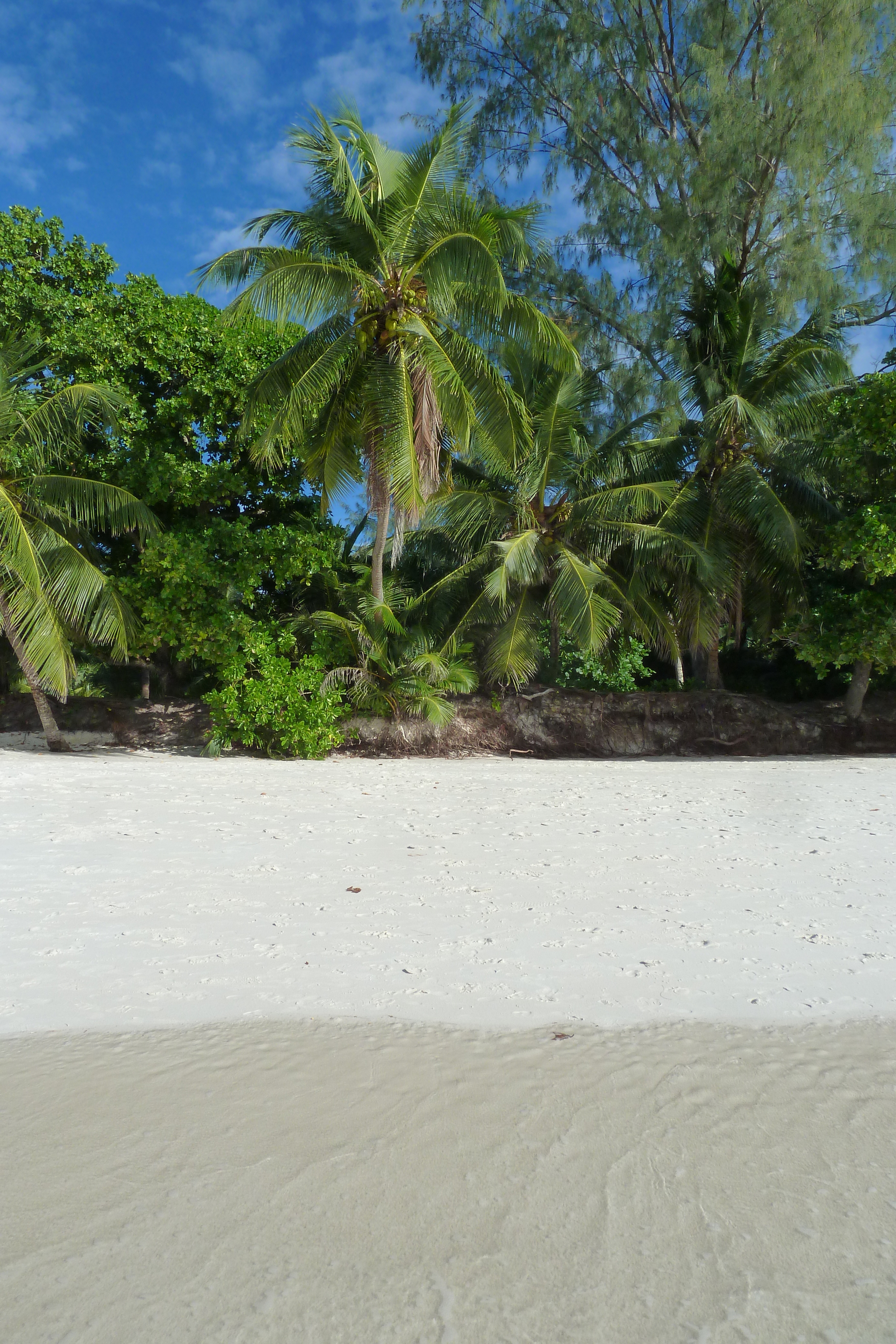 Picture Seychelles Anse Lazio 2011-10 67 - Tour Anse Lazio