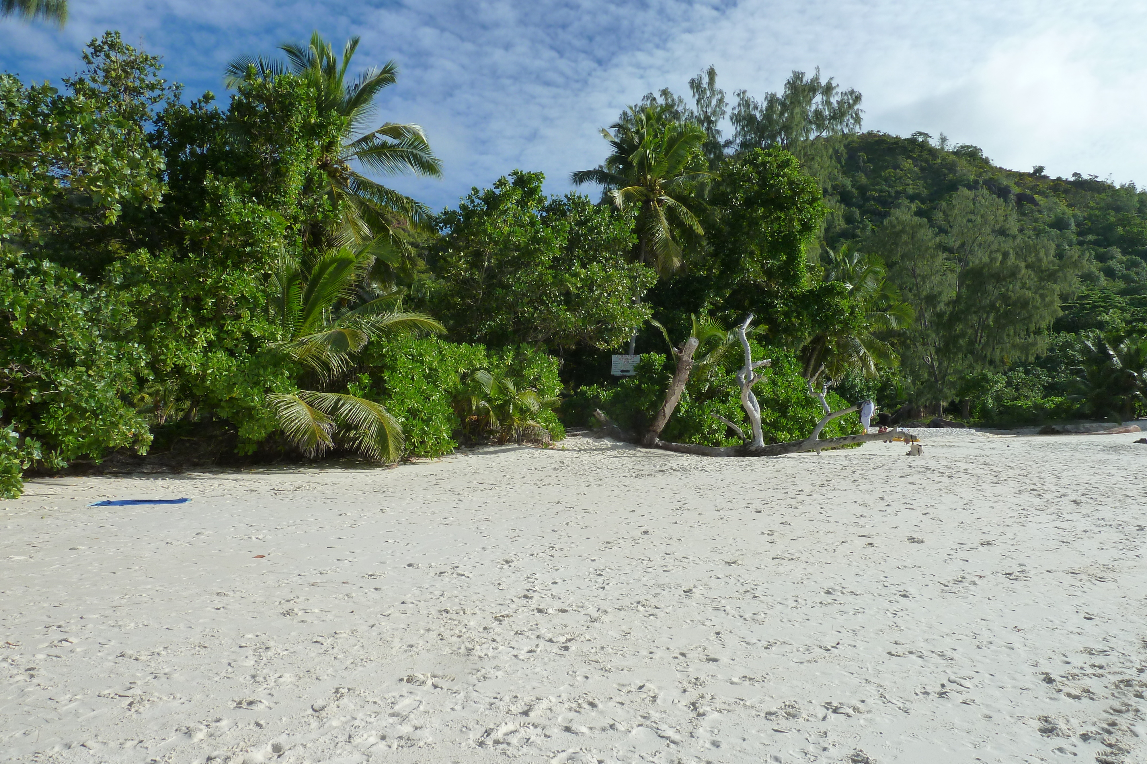 Picture Seychelles Anse Lazio 2011-10 72 - Discovery Anse Lazio