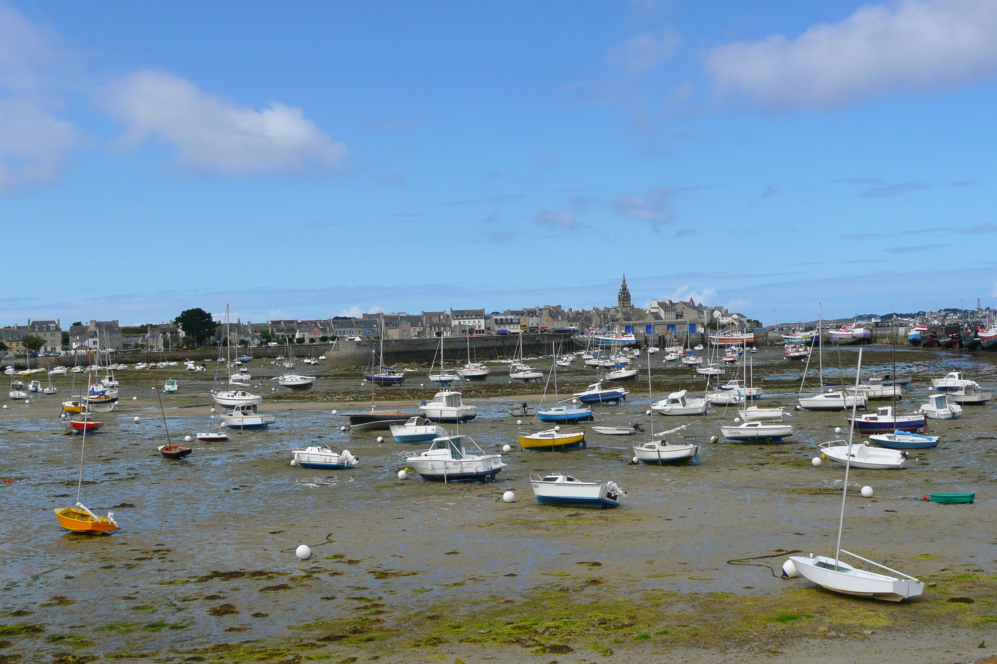 Picture France Roscoff 2007-08 64 - Tour Roscoff