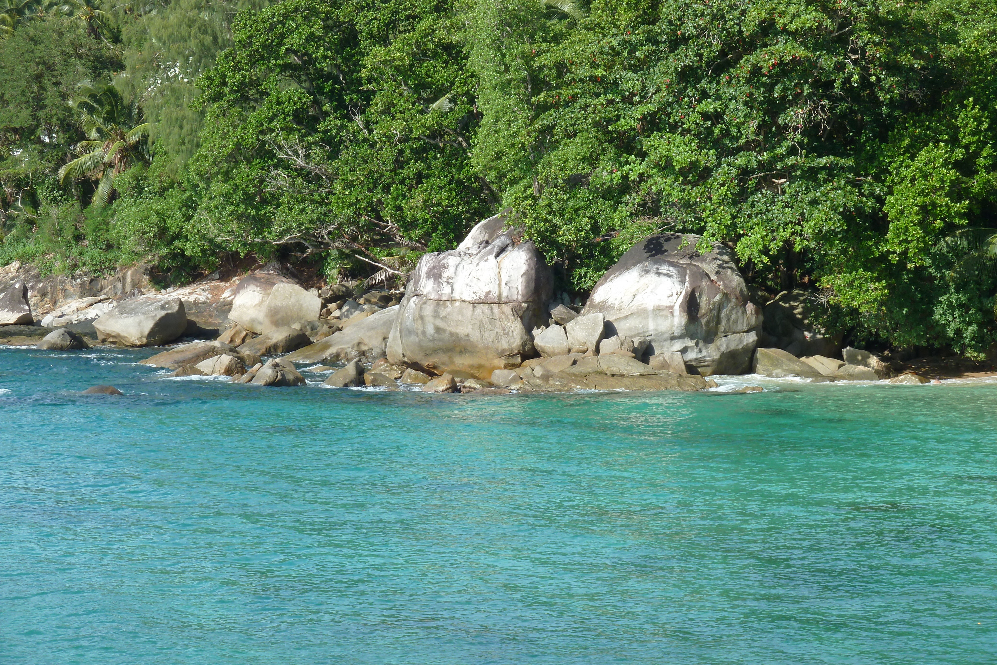 Picture Seychelles Mahe 2011-10 59 - Tour Mahe