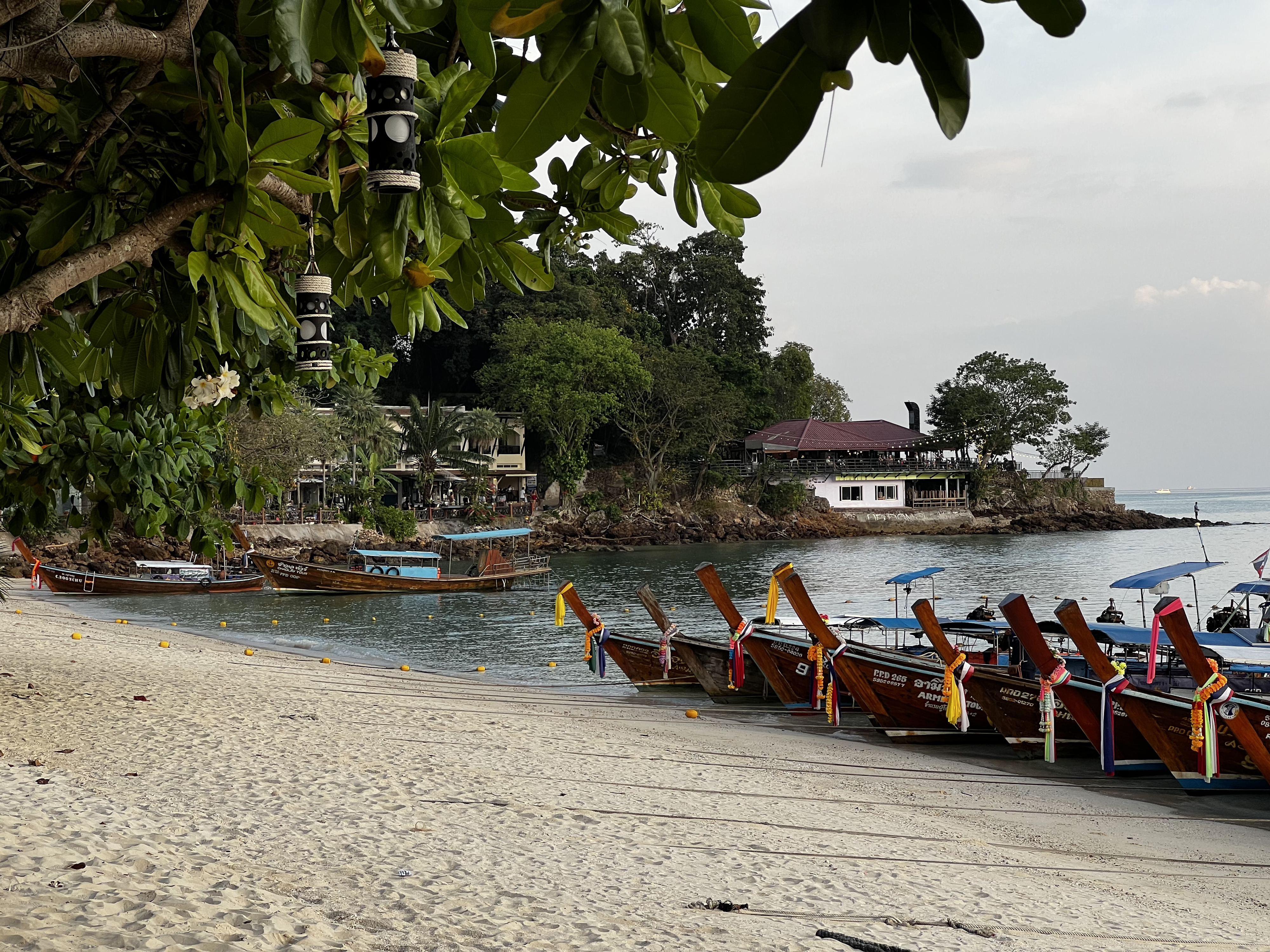 Picture Thailand Ko Phi Phi Don 2021-12 114 - Tours Ko Phi Phi Don